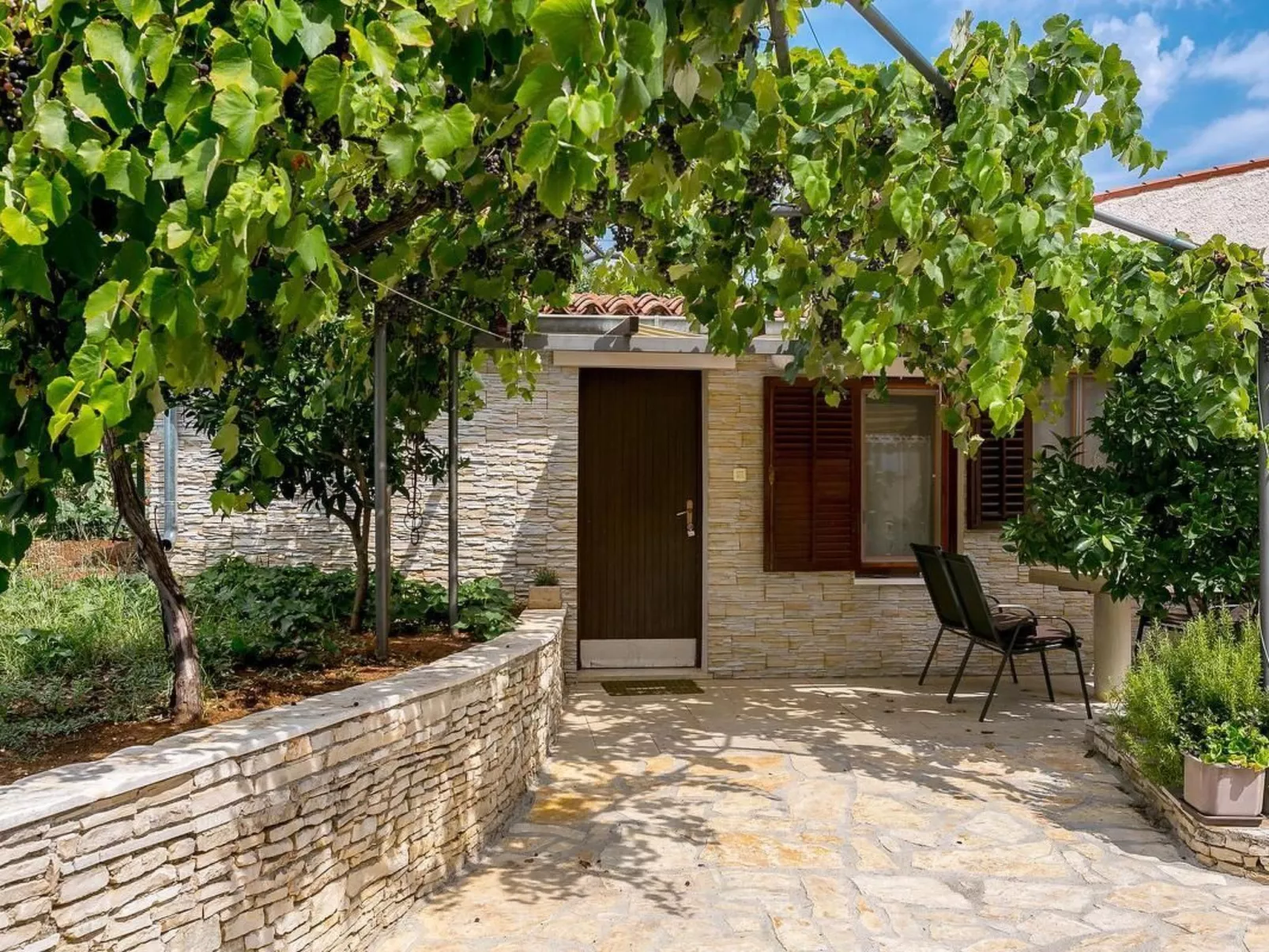 "Elvira" mit Terrasse-Image-tags.info