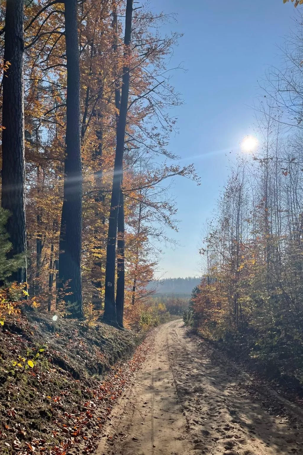 Vogelecke - abseits des Trubels und der Hektik-Buiten