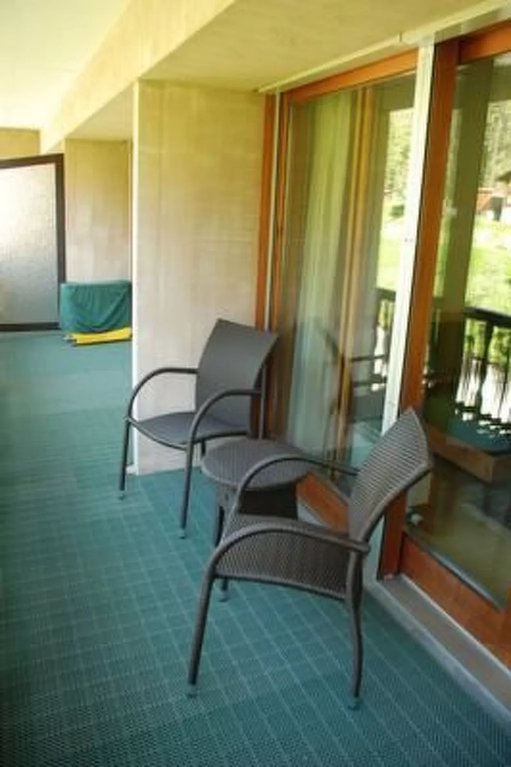 Chesa la Furia WHG 24-Binnen