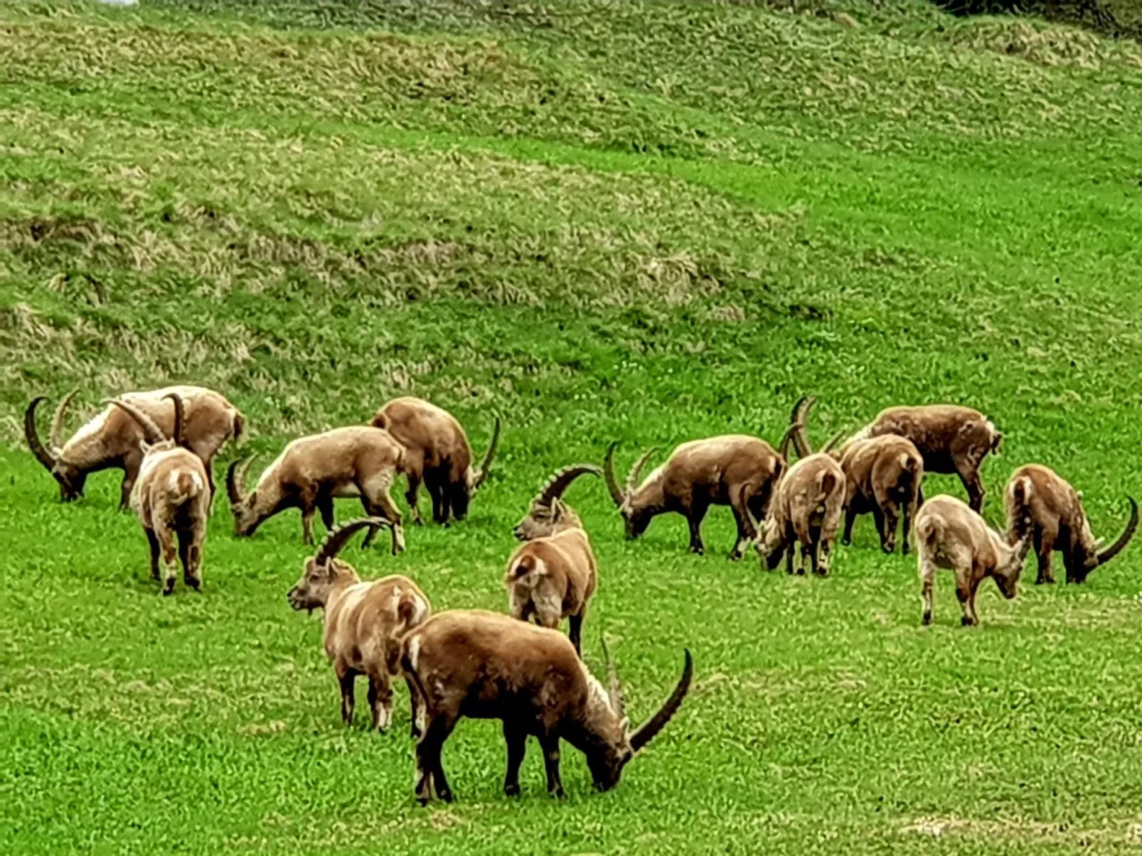 Chesa Melchior-Buiten