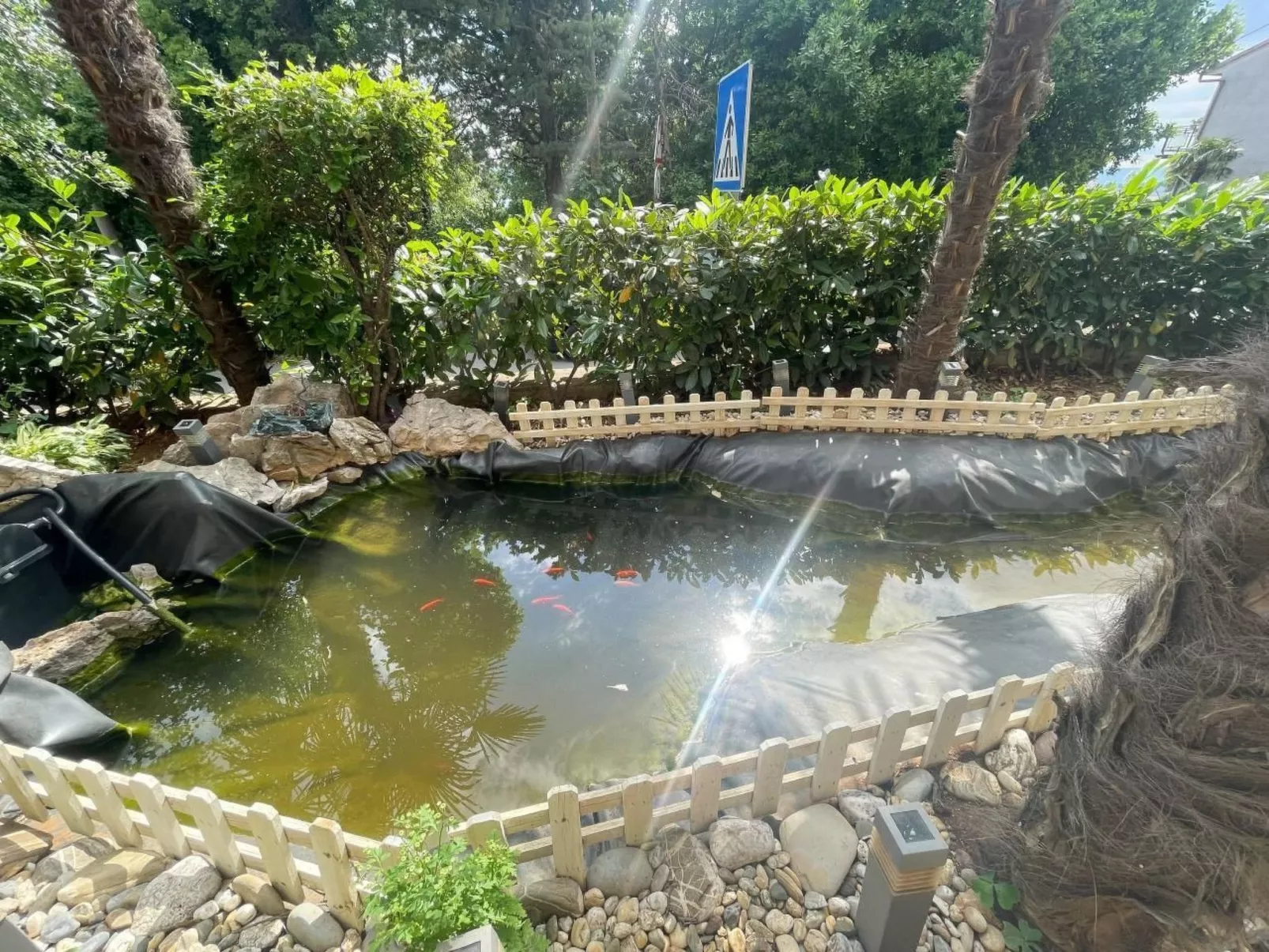 Oaza-Image-tags.info