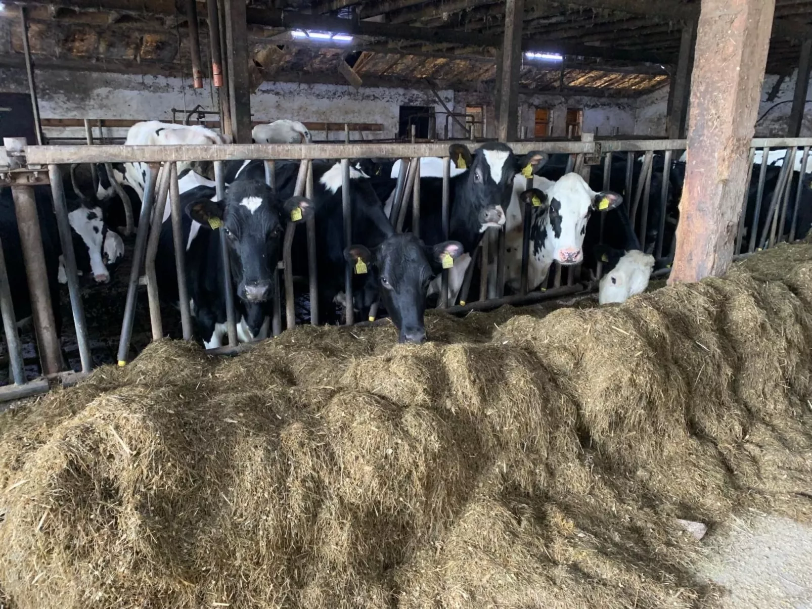 Hof Hinloopen-Image-tags.info