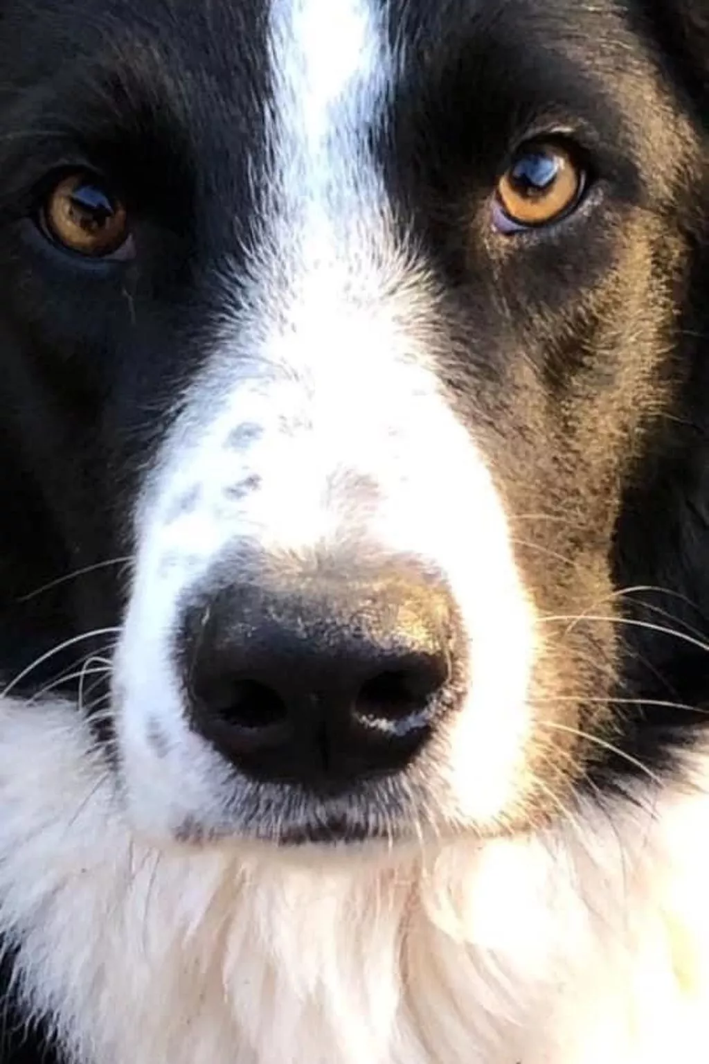 Kellerstöckl am veganen Bio-Lebenshof - Varm - the vegan Farm-Image-tags.info