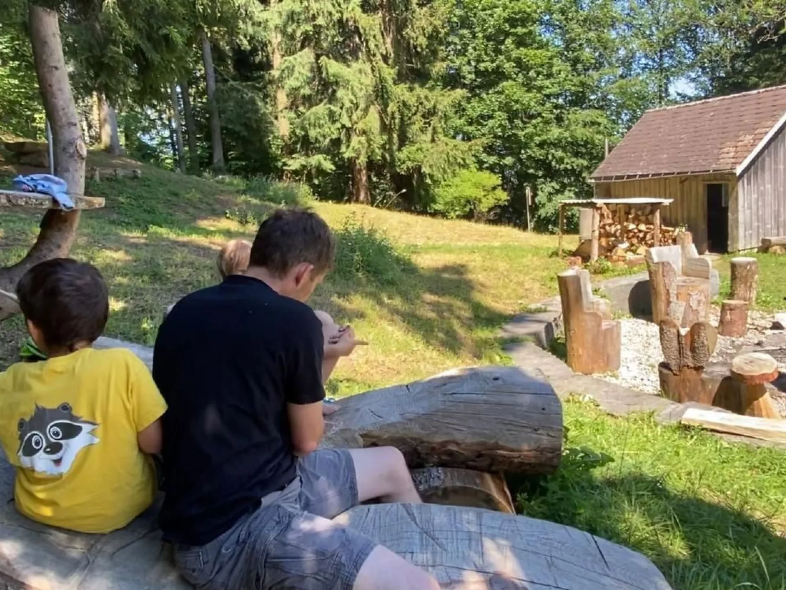 Alpakahof Ferien-Buiten