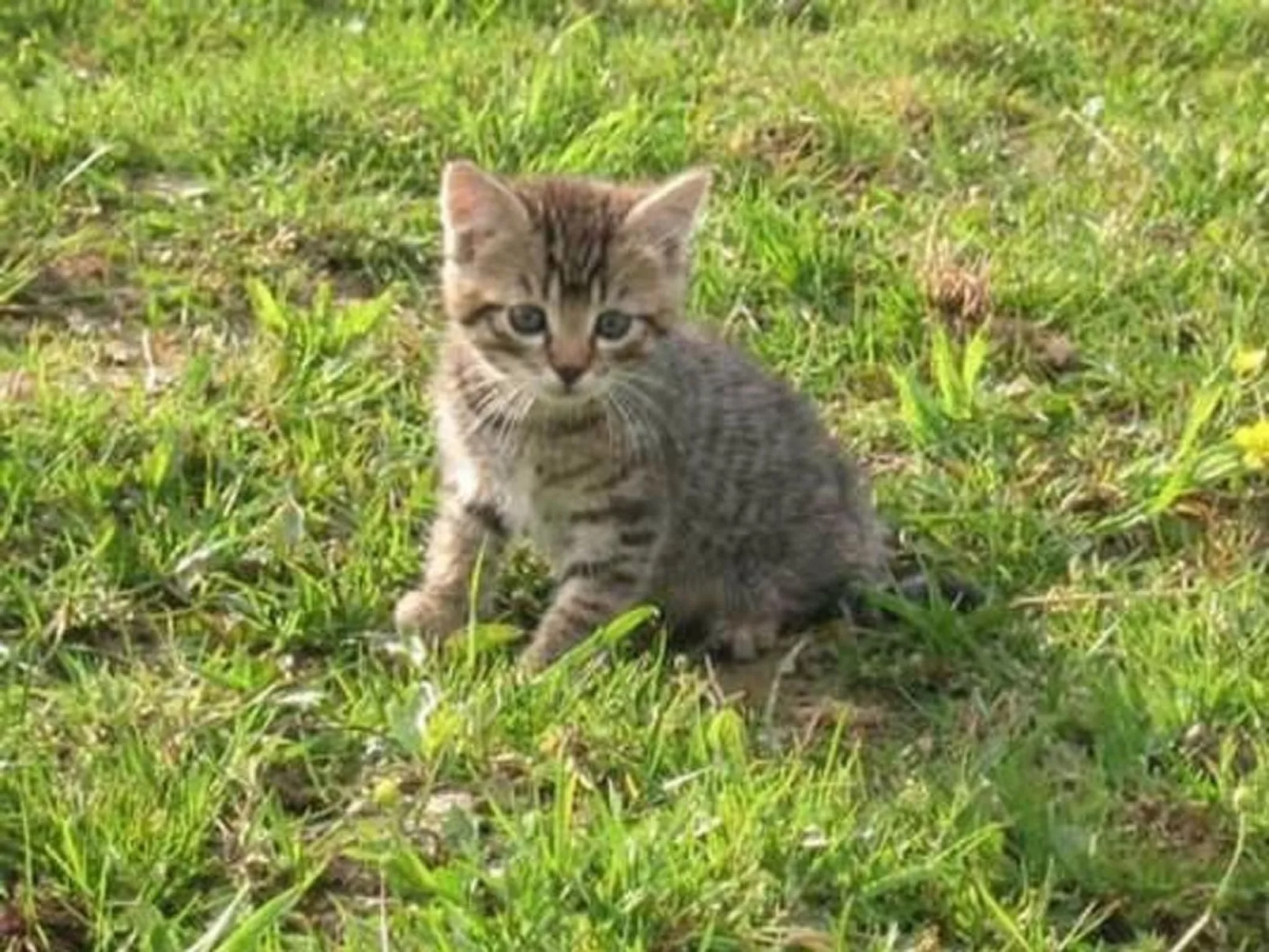 Feierlenhof, 2-Zimmerwohnung Granny, Parterre-Buiten