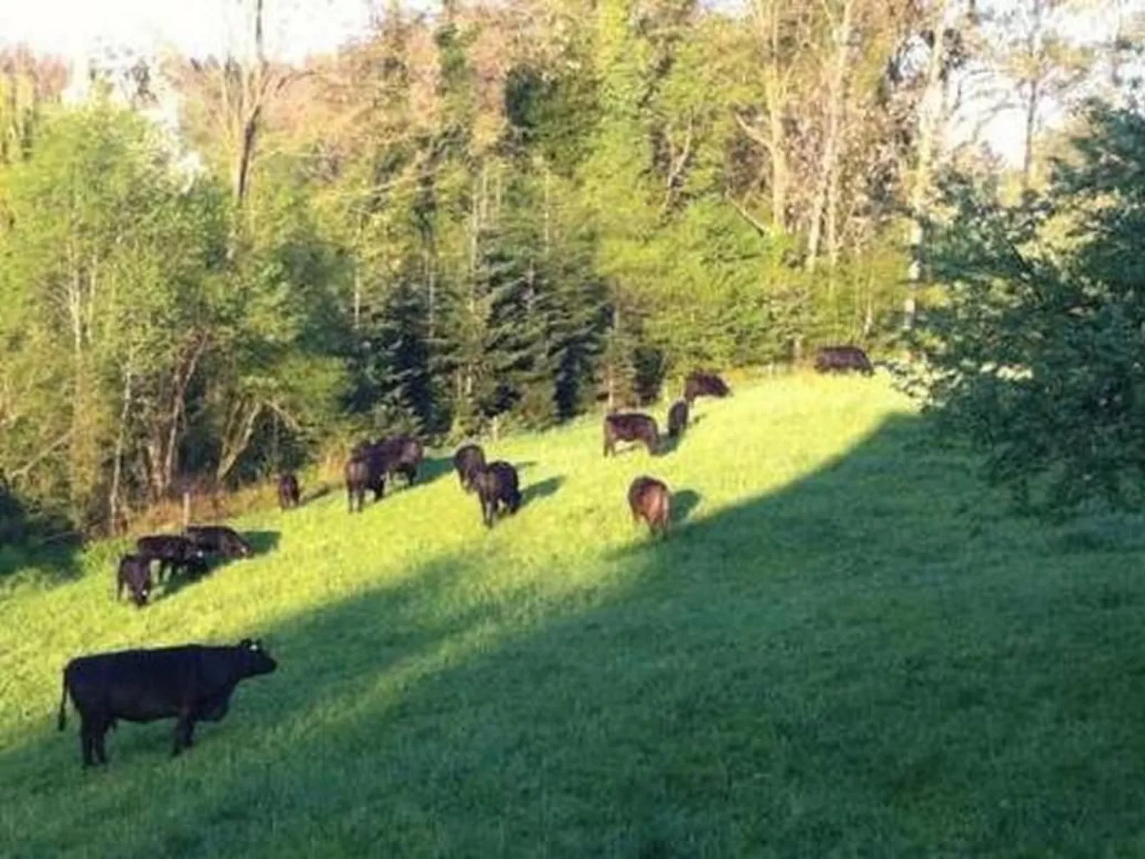 Biohof-Enderlin-Buiten