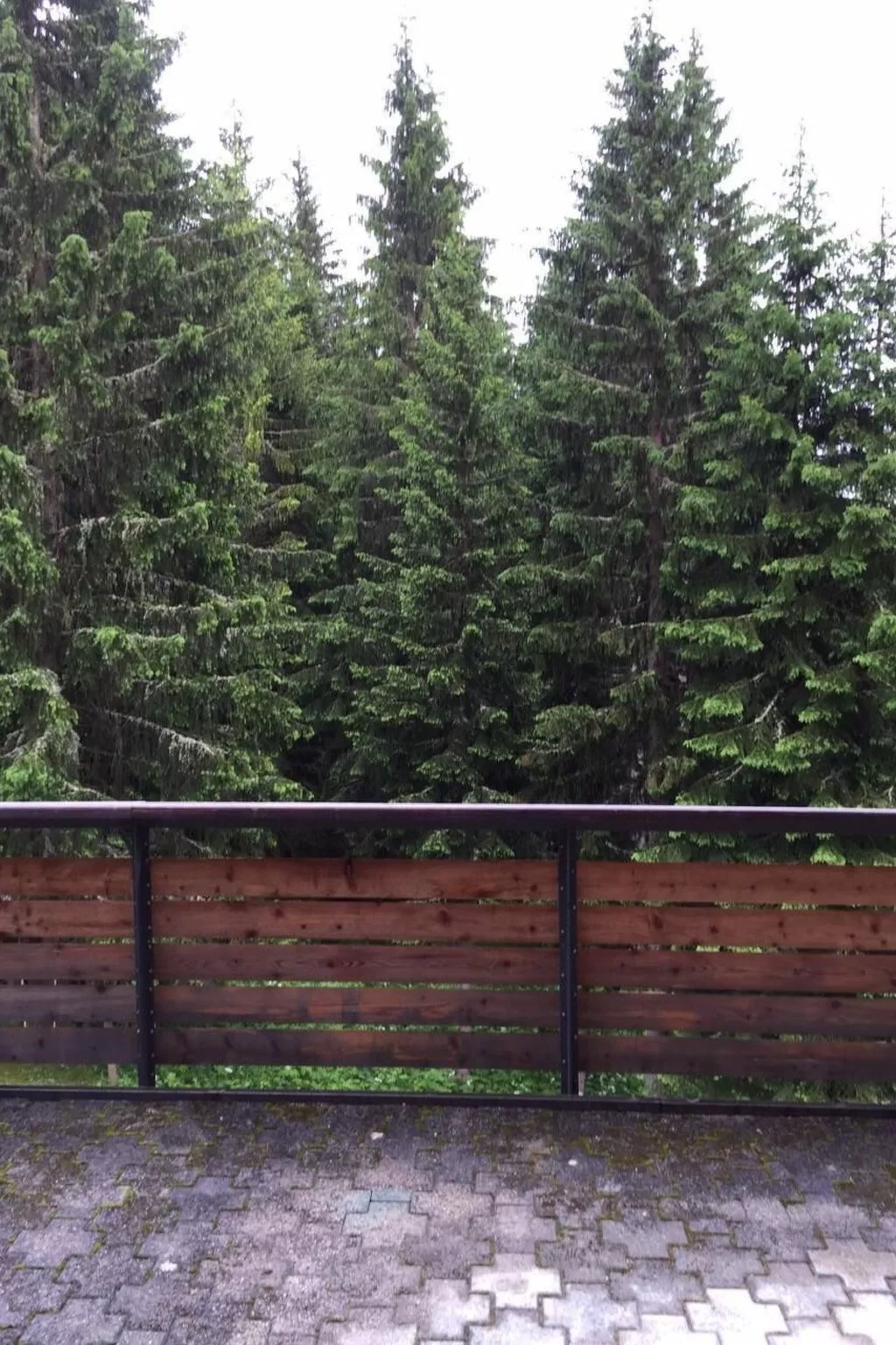 Haus Basilisk / Obere Wohnung für 5 Personen-Buiten