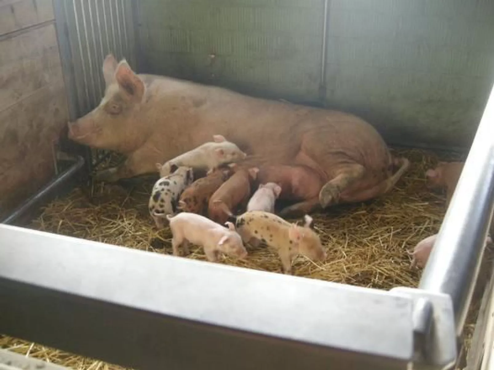 Hof Geilisguet-Image-tags.info