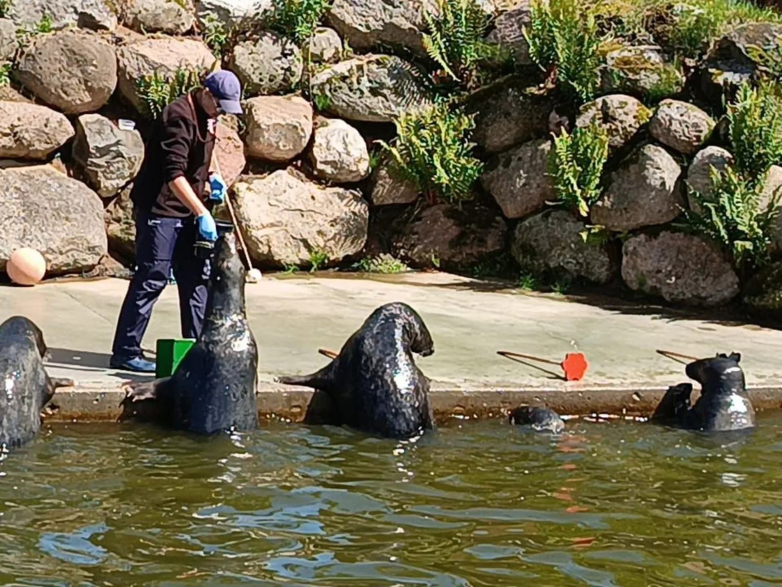 Sunny Baltic 2-Binnen
