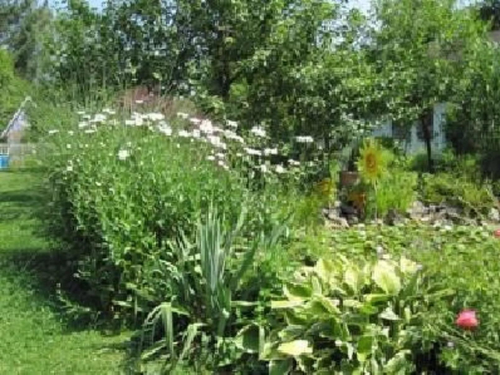 Blaues Haus-Image-tags.info