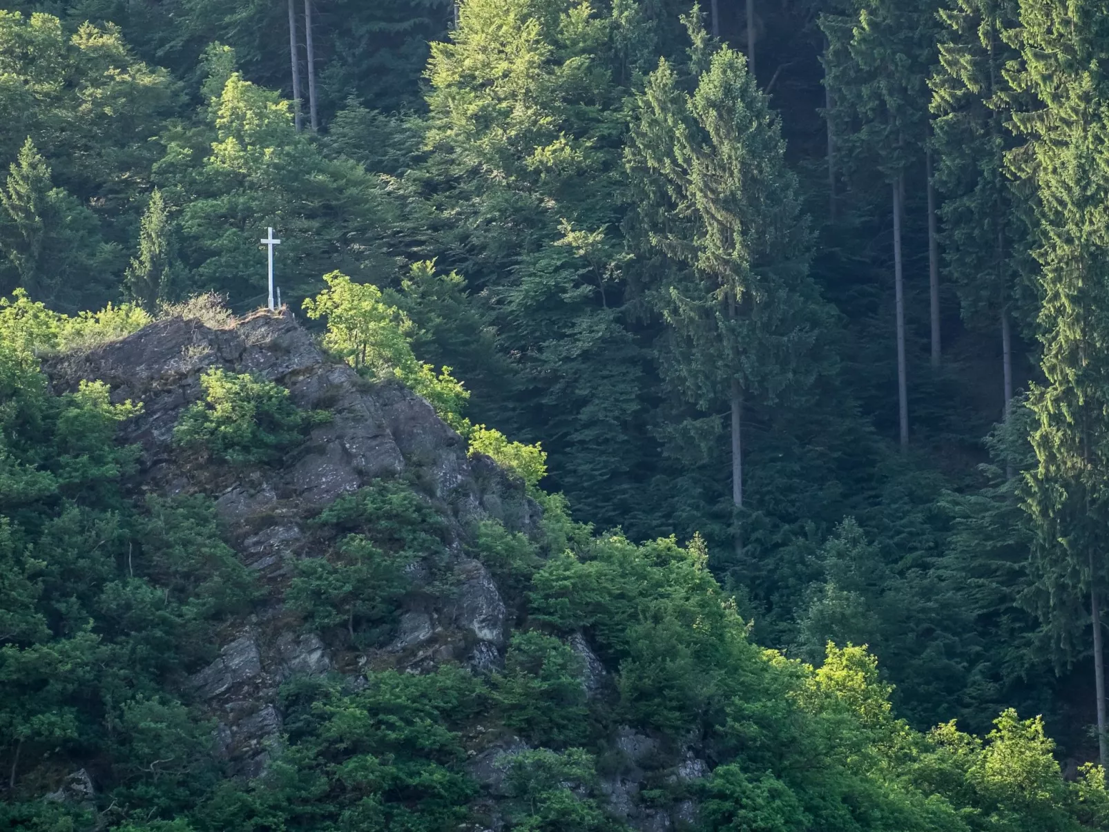 In Waldbreitbach mit Whirlpool - Buiten