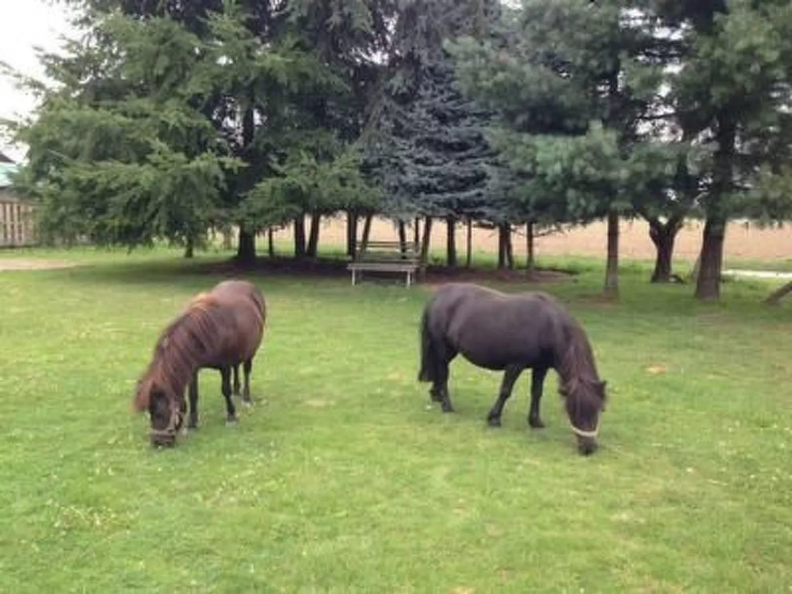 Appartement mit Garten, Grill und Terrasse-Buiten