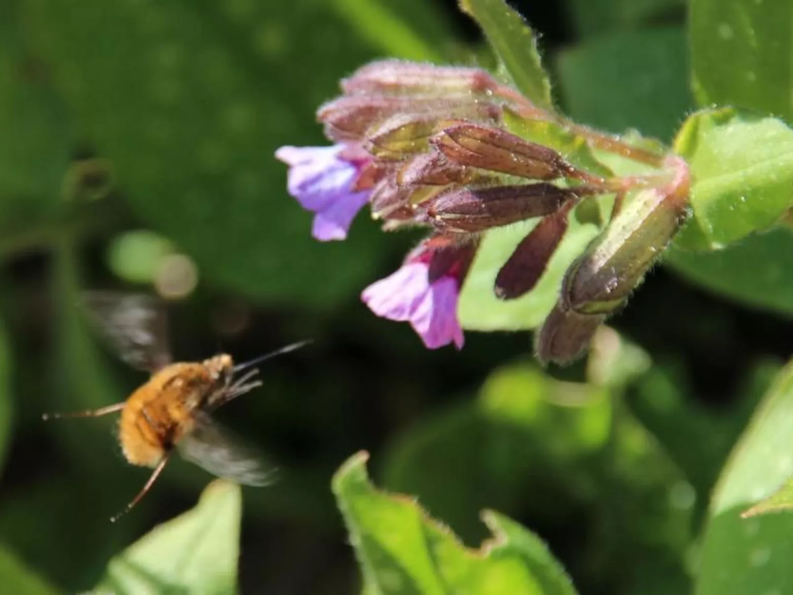 Appartement mit Terrasse-Image-tags.info