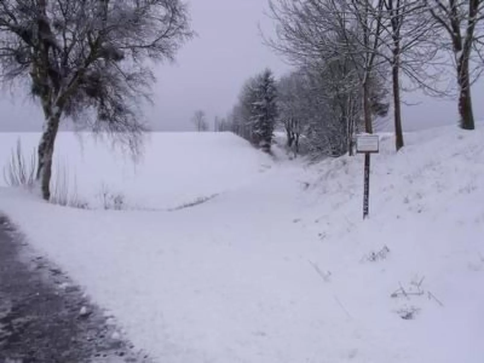 Mietz-Image-tags.info