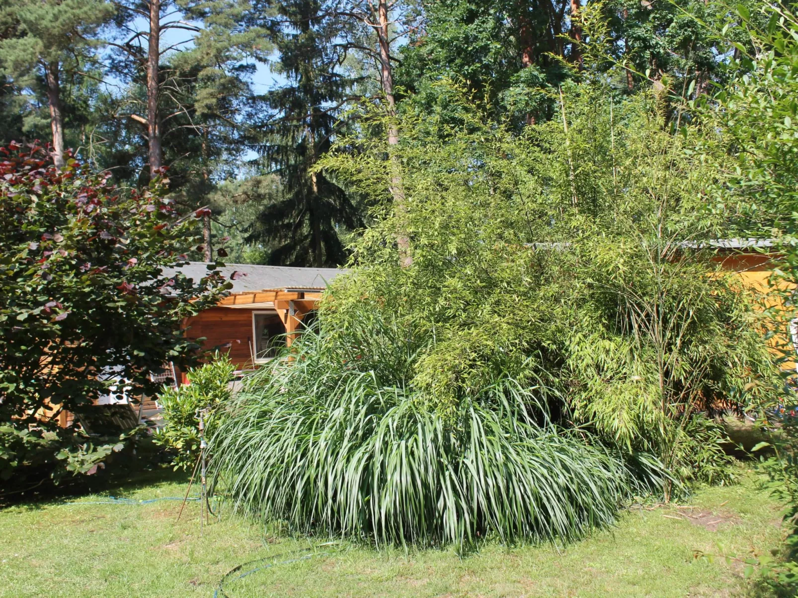 Bungalow Waldidyll-Image-tags.info