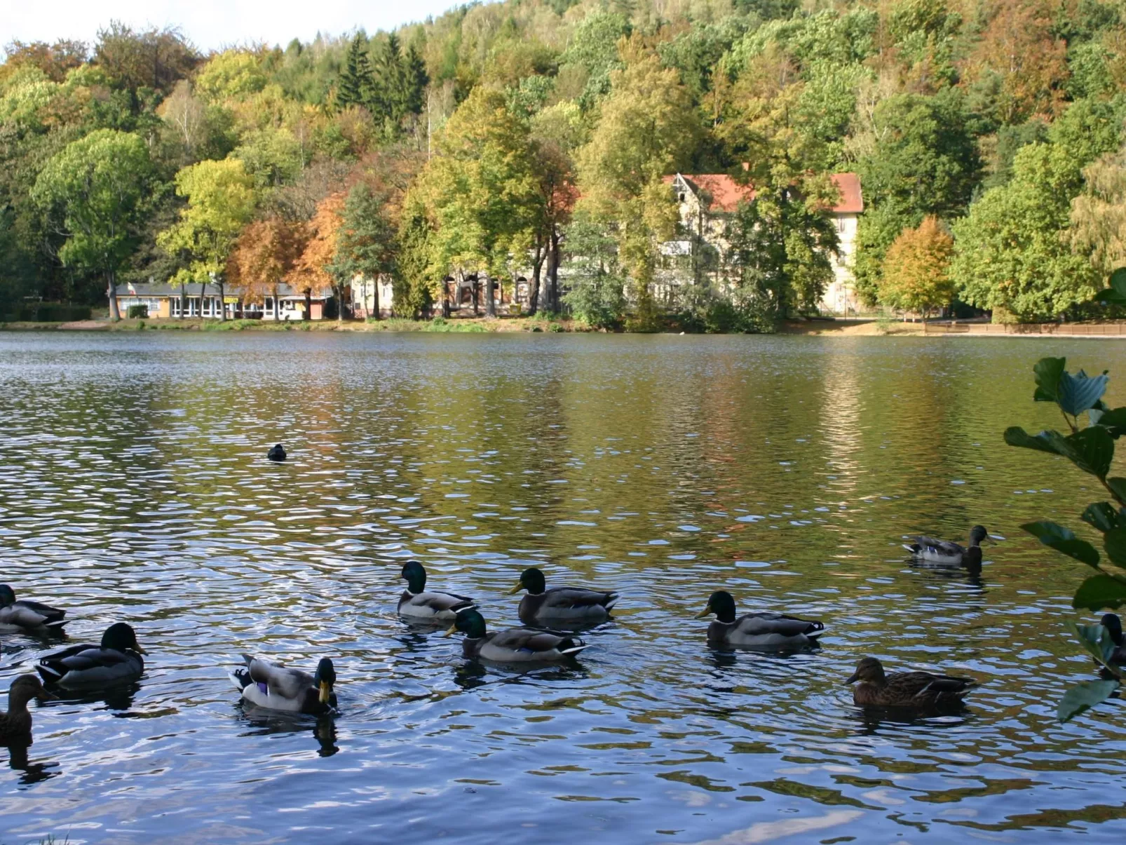 Kleine, gemütliche Ferienwohnung im Erholungsort-Buiten