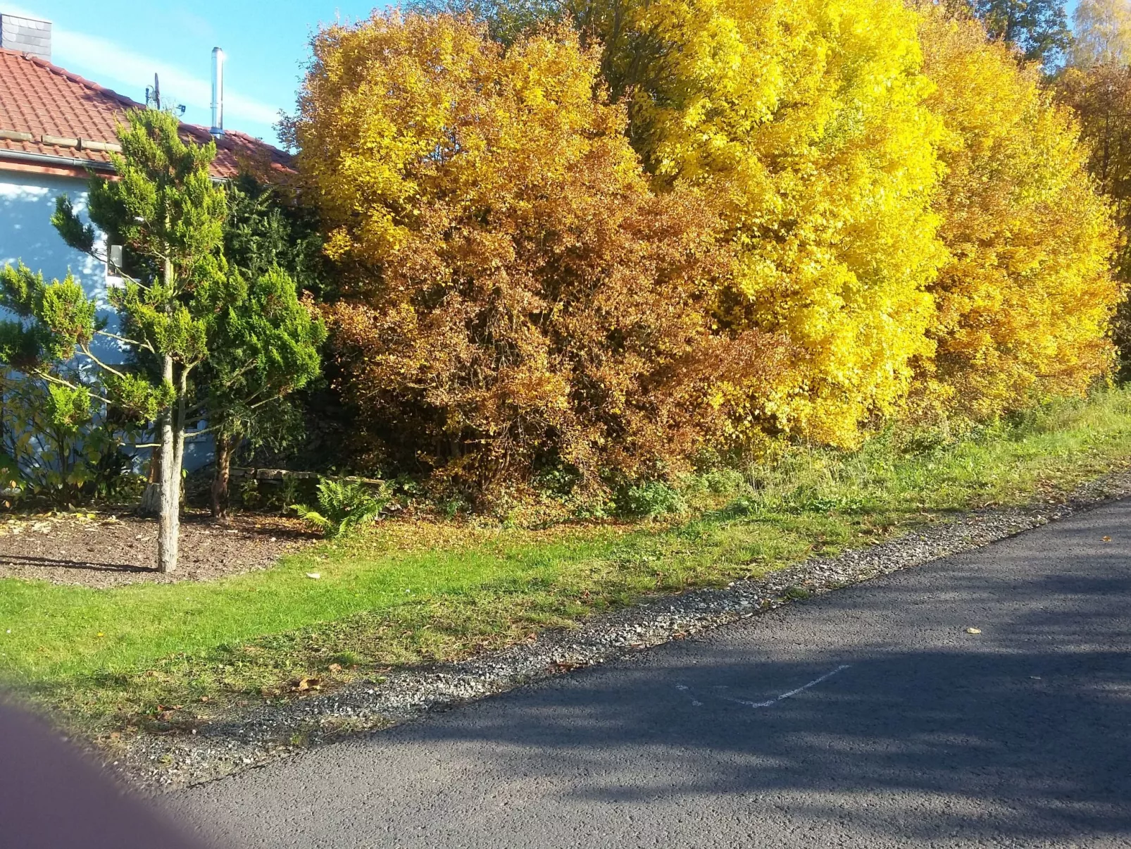 Gemütliches Ferienhaus in Fischbach Rhön-Buiten