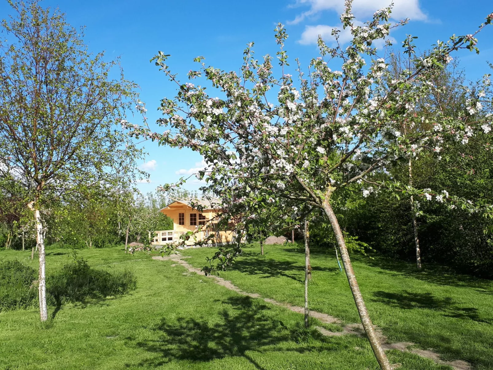 Sonnige Ferienwohnung in ländlicher Umgebung-Buiten
