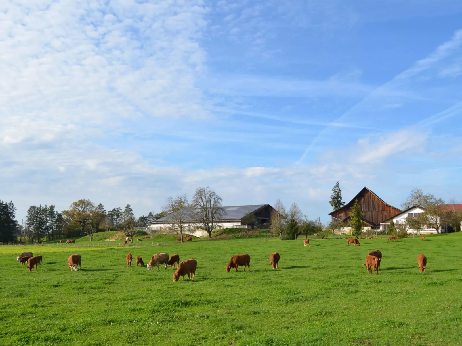 Wohnung "Rustique"-Buiten