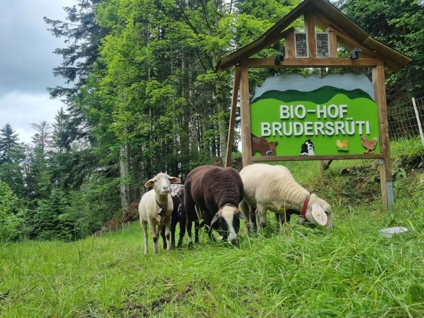 Bio-Hof Brudersrüti-Image-tags.info