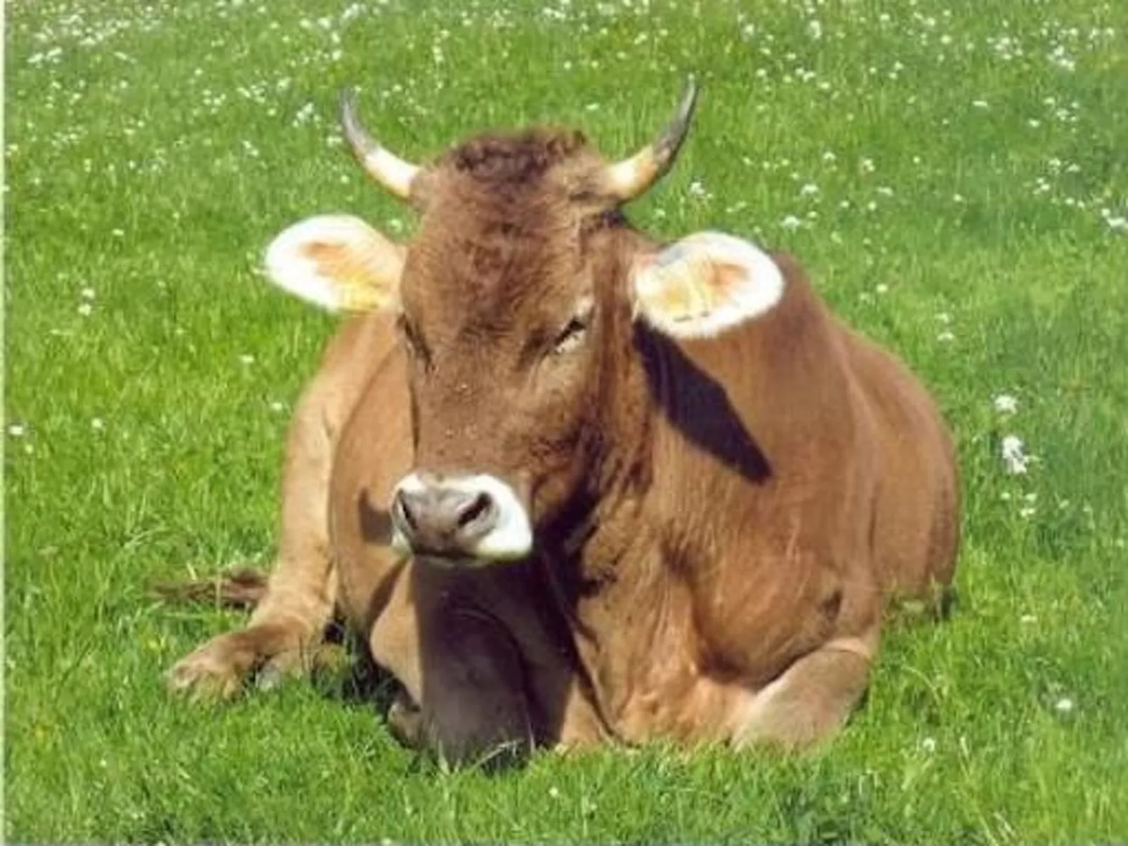 Bauernhof ufem Berg-Buiten