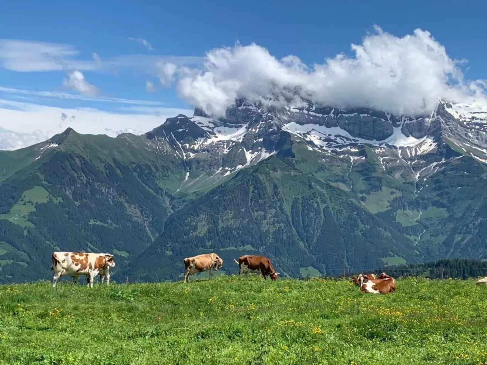 Peak App., Morgins-Image-tags.info