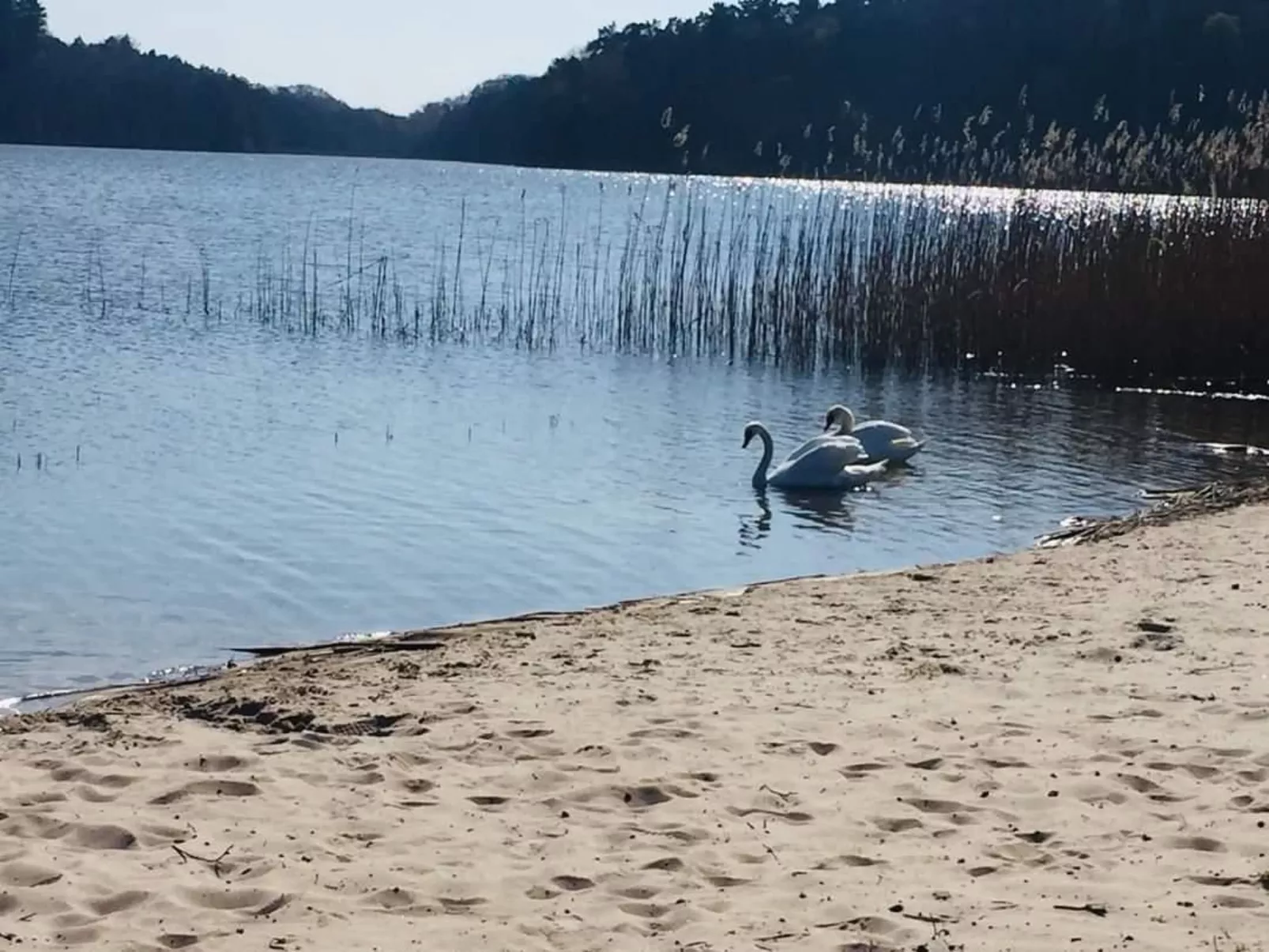 Gemütliches Ferienhaus mit Garten und Seeblick-Image-tags.info