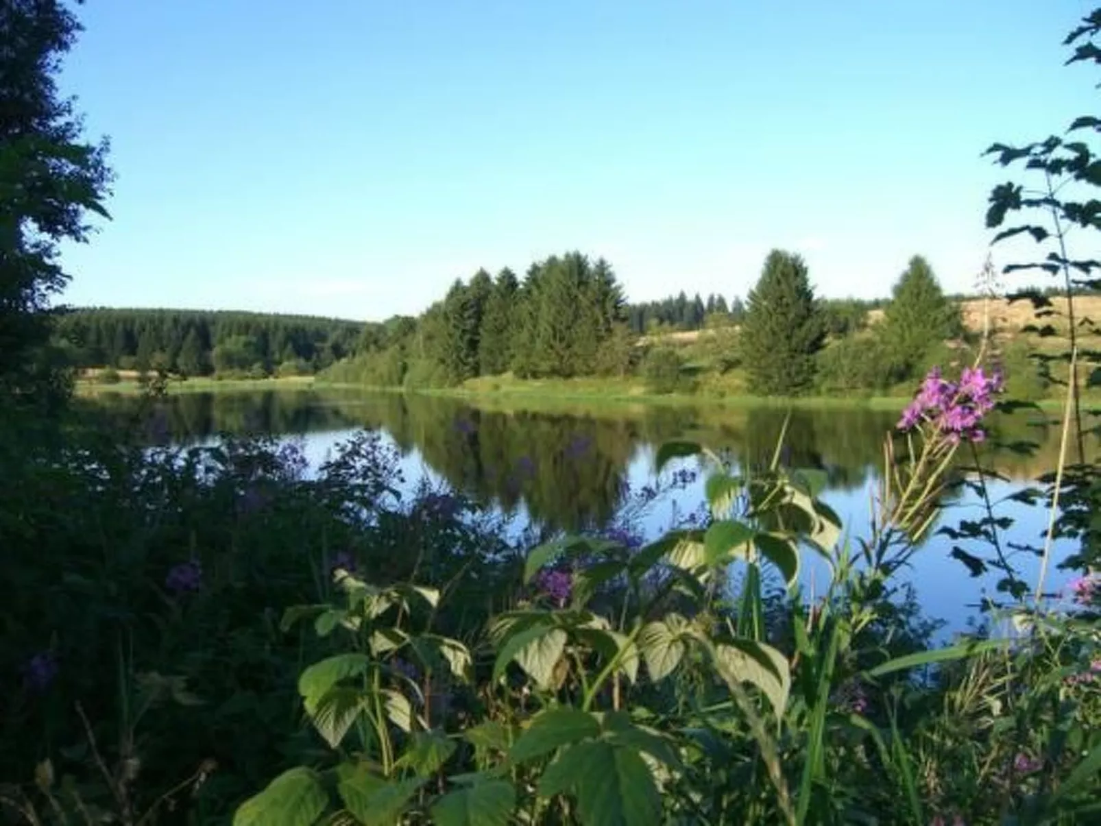Ferienw. Natur pur-Buiten