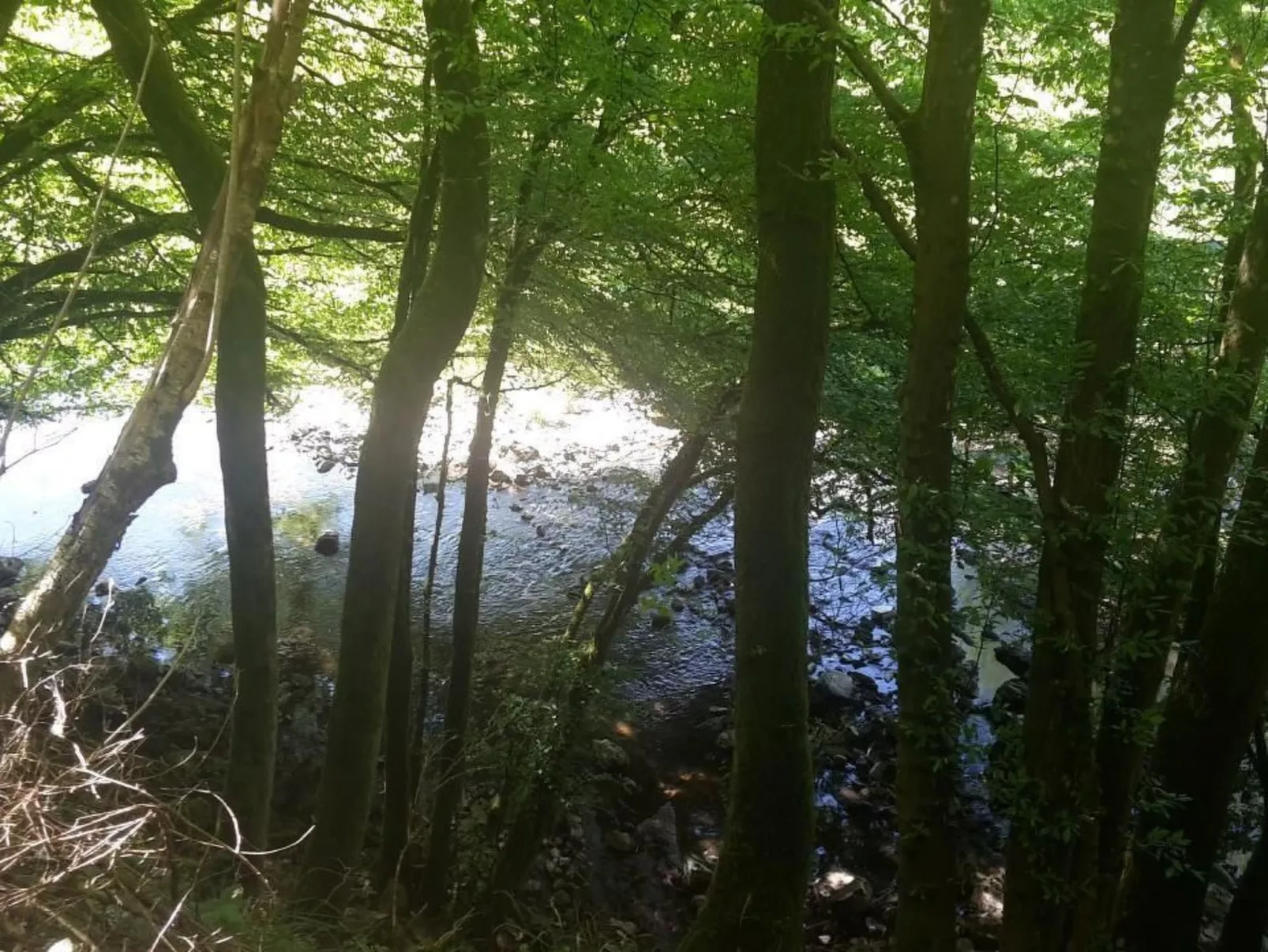 In Zendscheid mit Offenem Kamin-Buiten