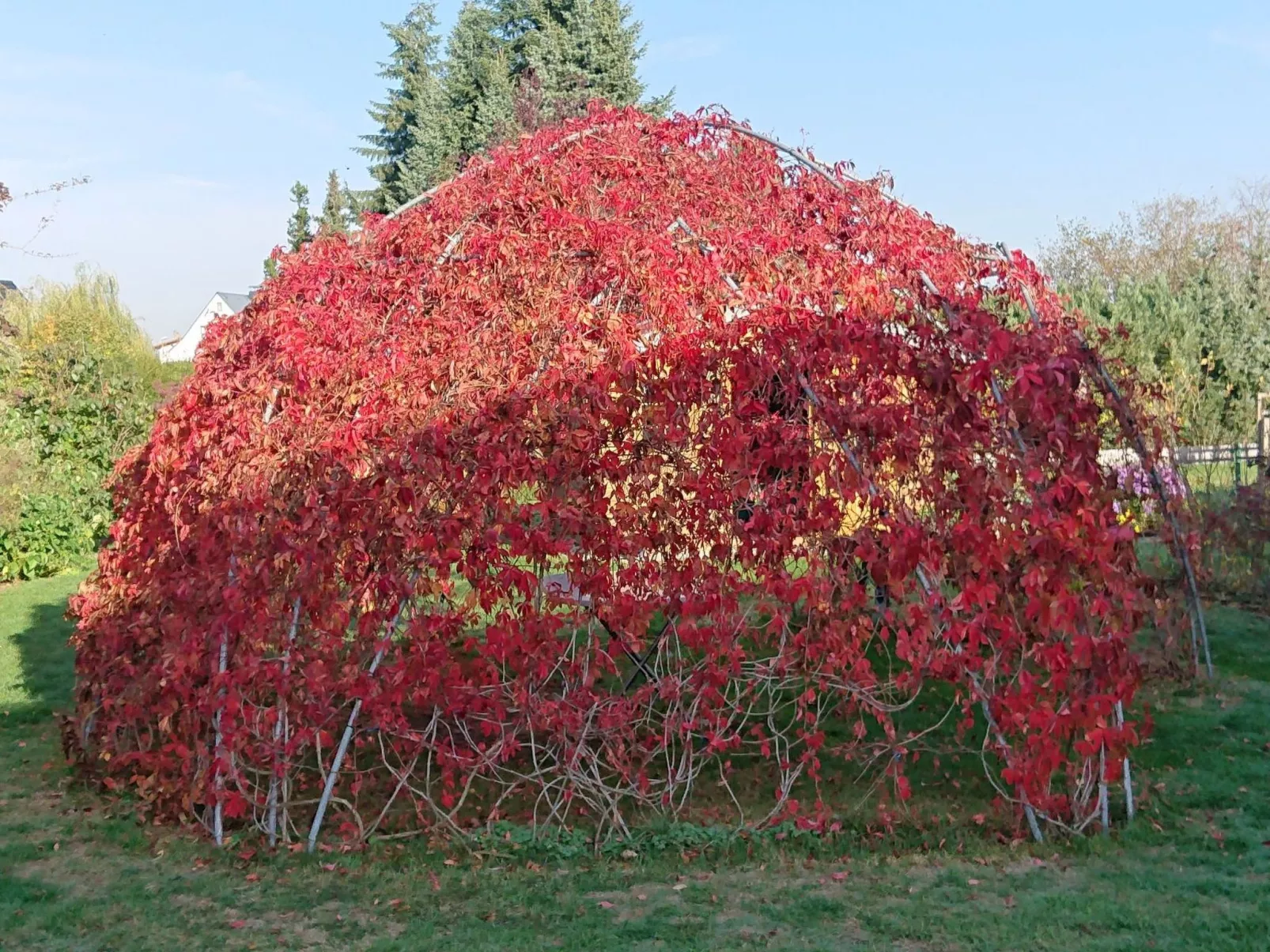 Mit Garten, Weinlaube und Aussenpool-Image-tags.info
