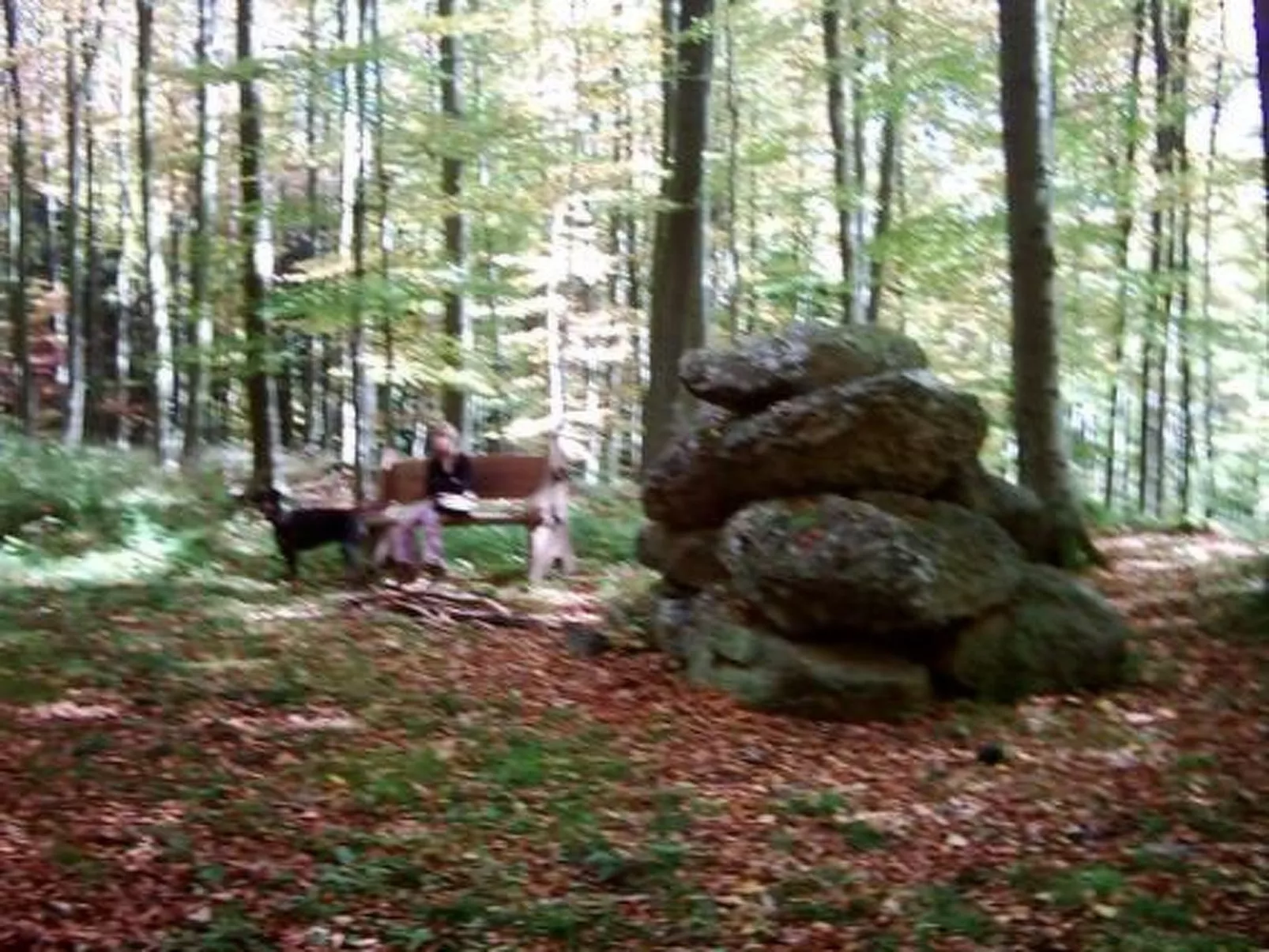 FEWO Juliana-Image-tags.info