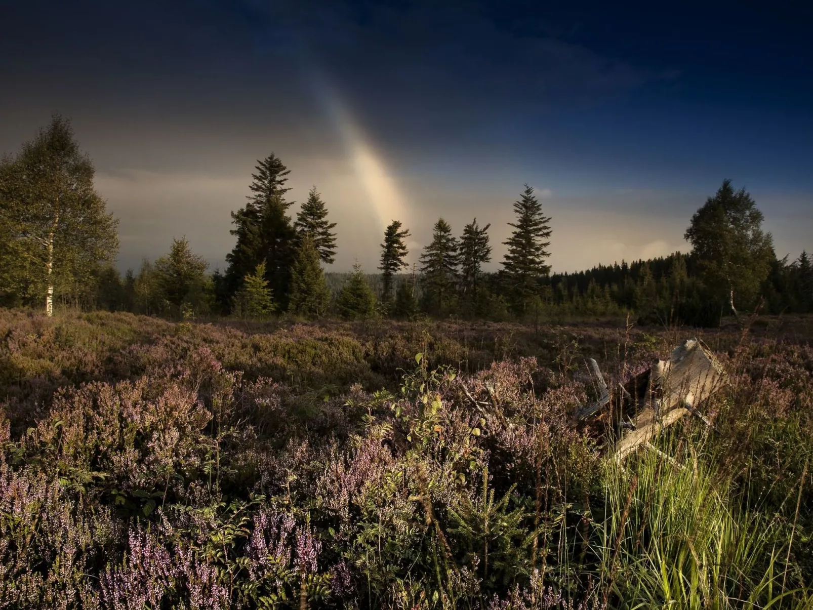 Landhaus Graf-Buiten