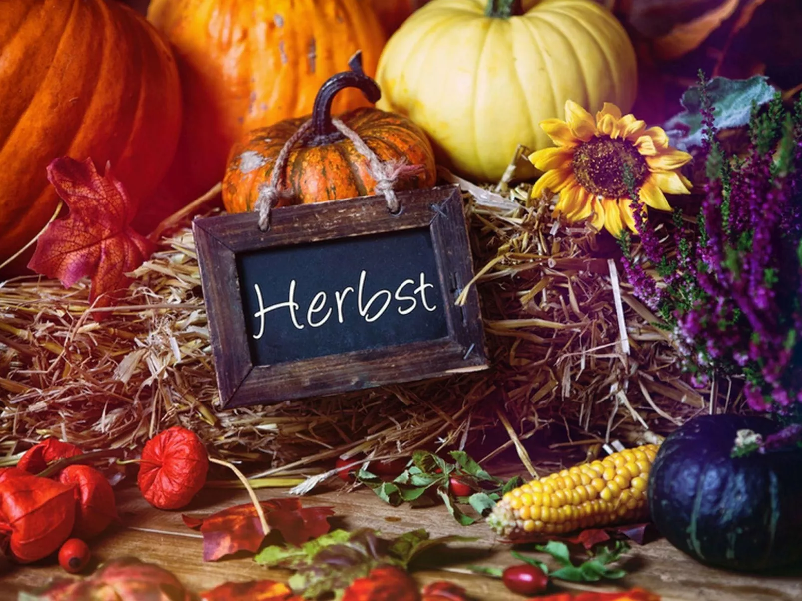 Ruhiges Landhaus mit zwei gemütlichen Wohnungen - Image-tags.info