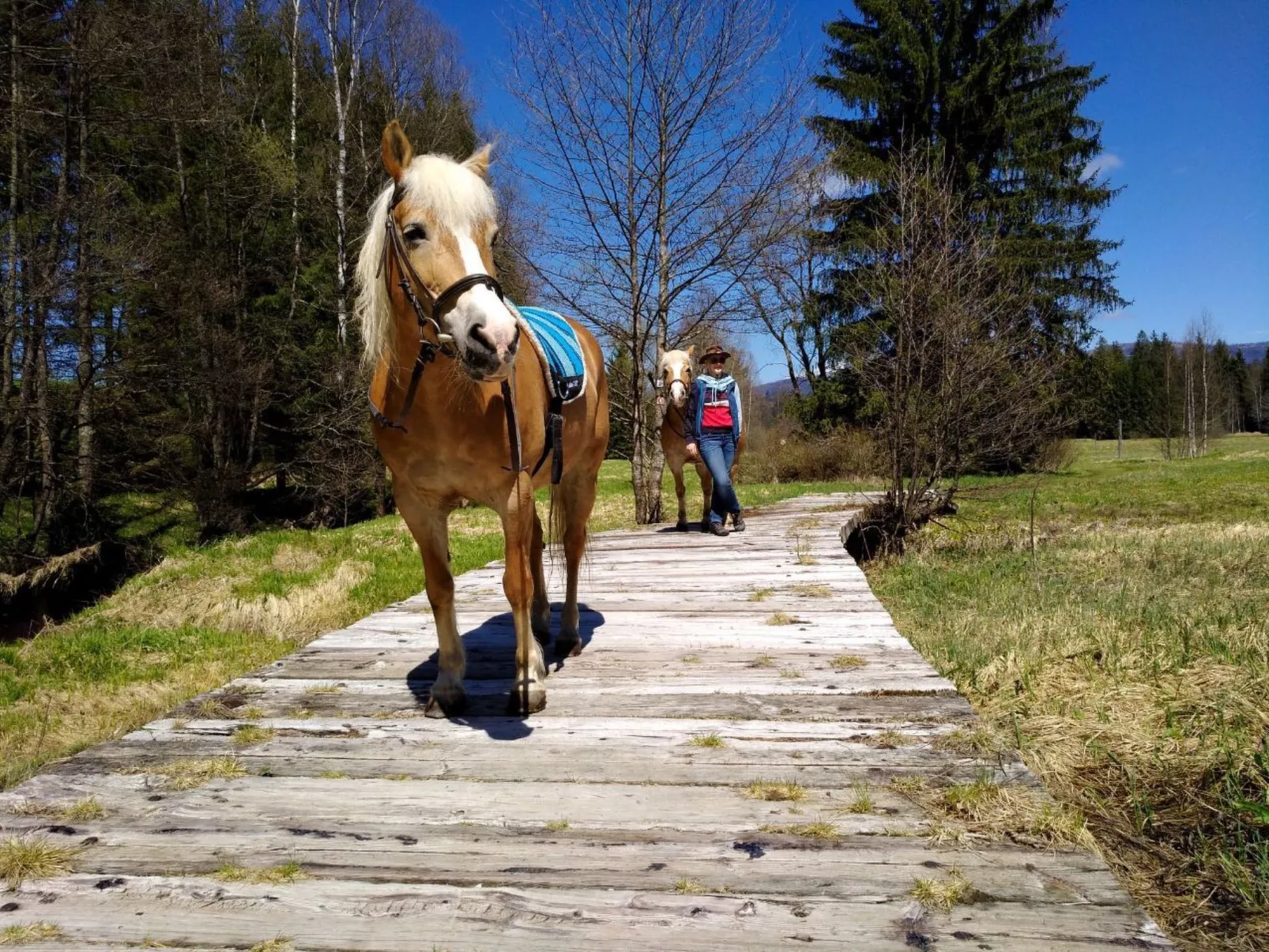 Typ B-Image-tags.info