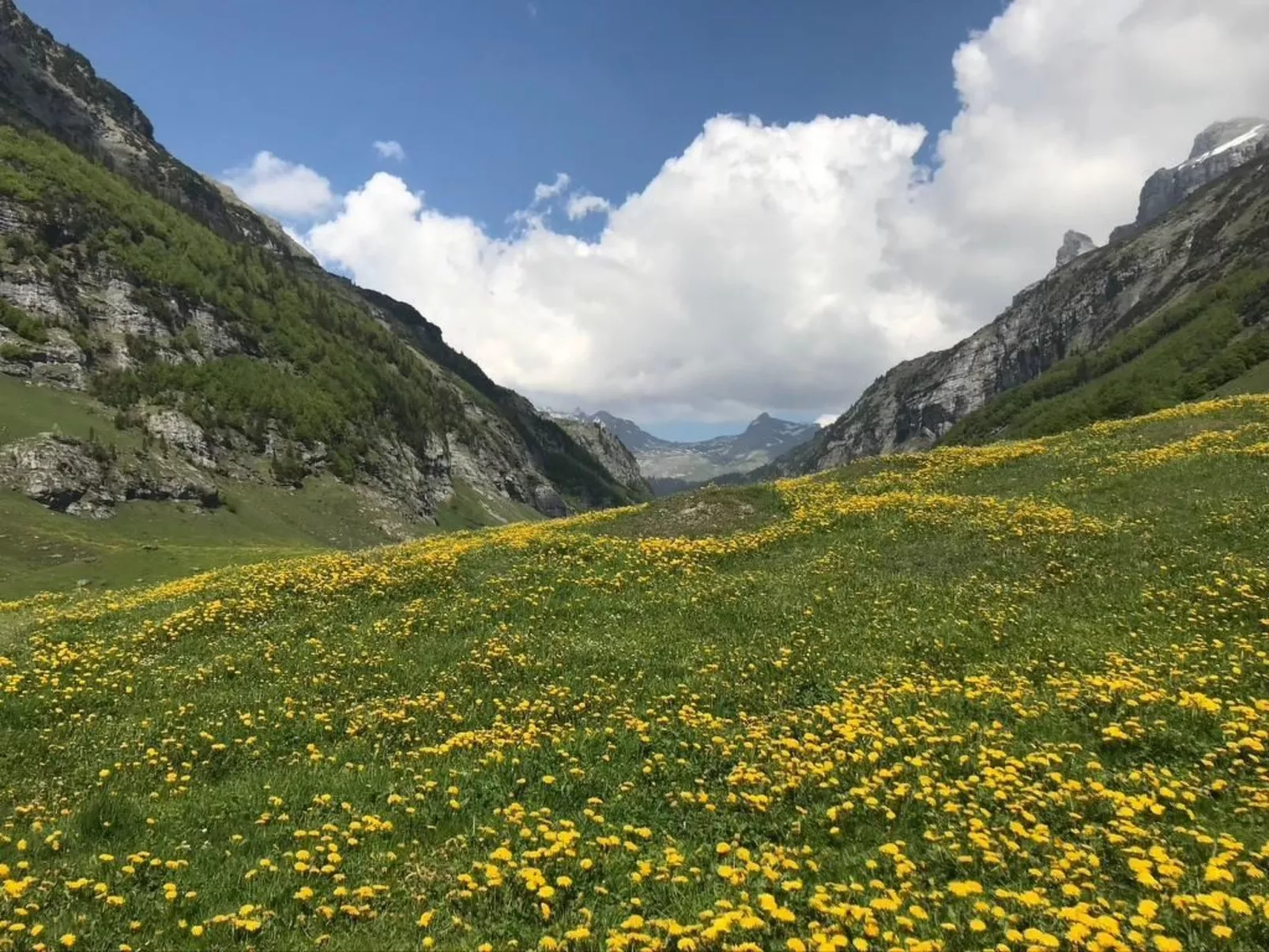 Alphütte Gental - Haslital-Buiten