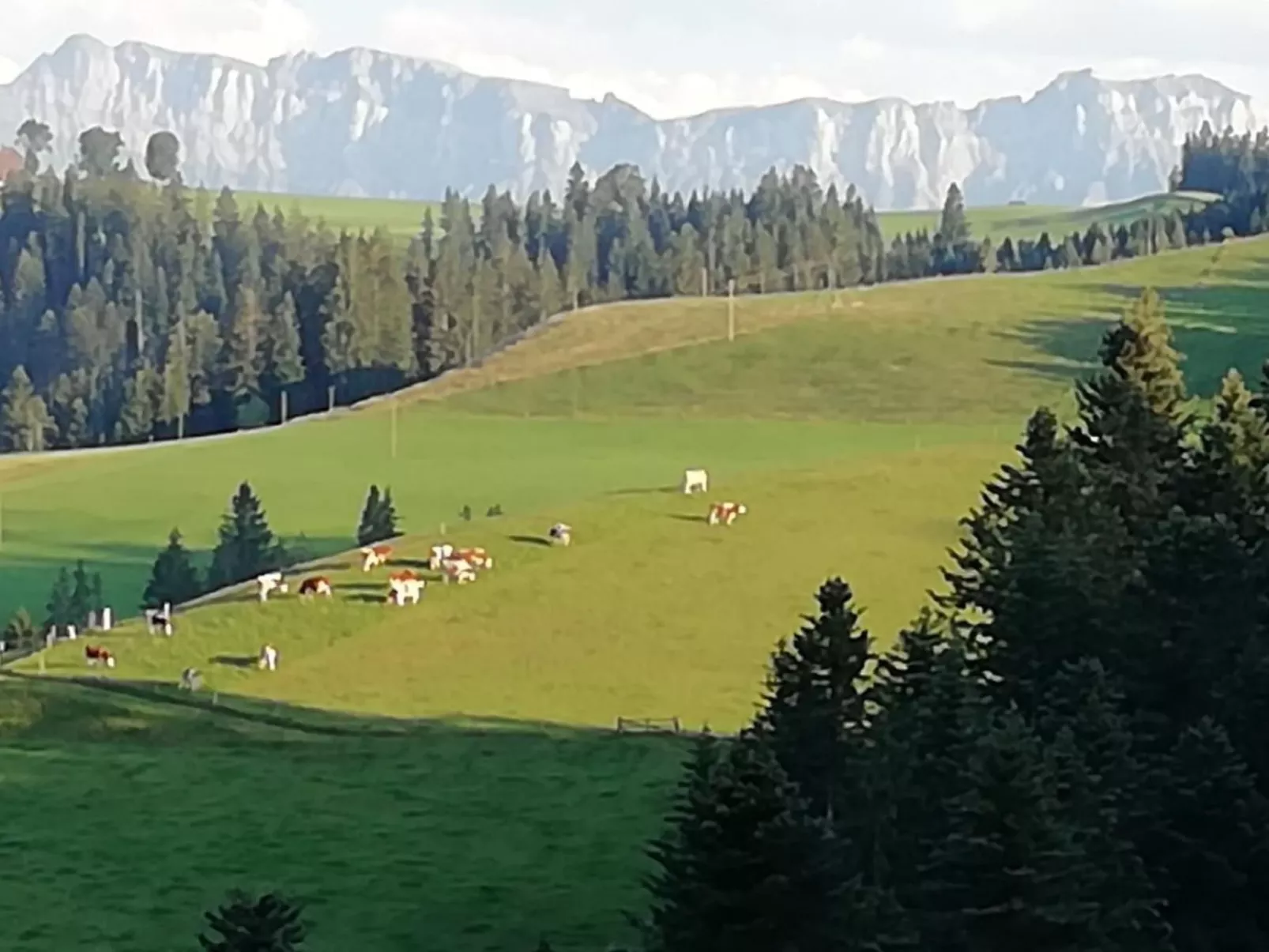 Emmental Ferien-Buiten