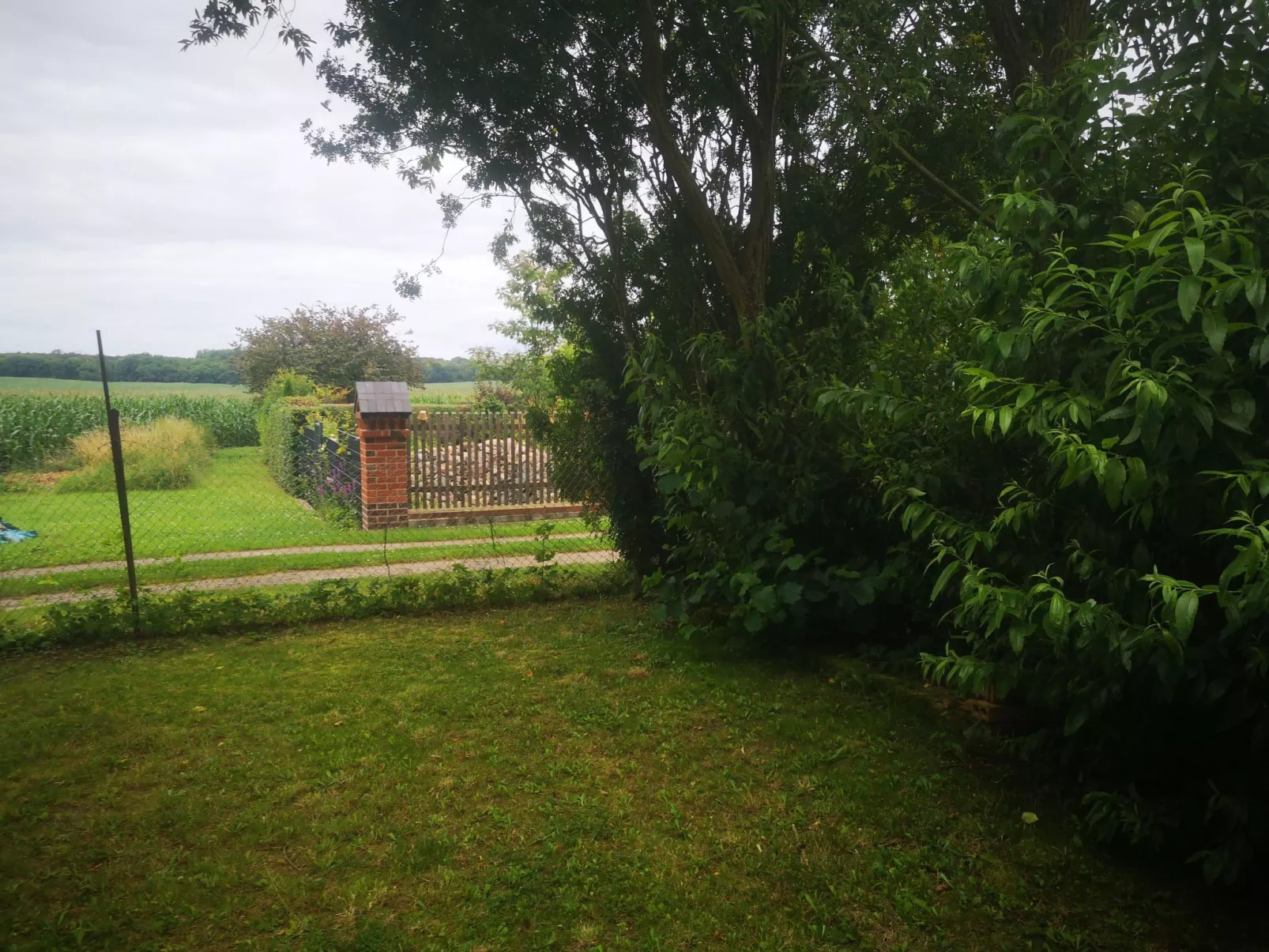 Landurlaub Mecklenburgische Seenplatte b. Waren Müritz-Buiten