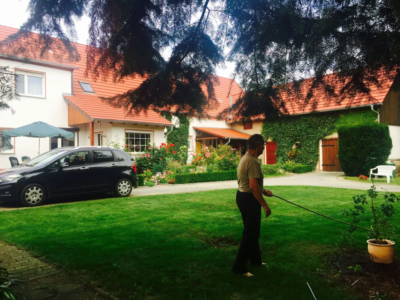 Konsum-Image-tags.info