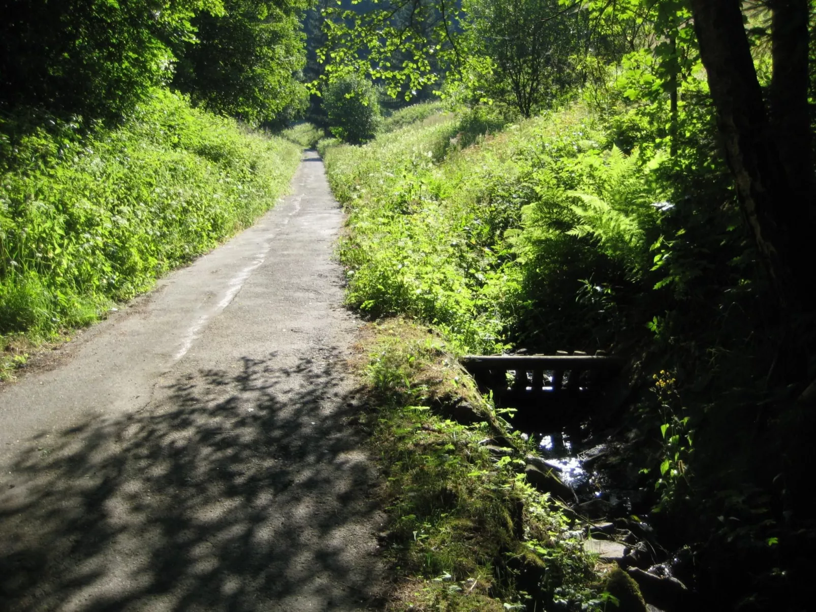 Bürgermeisterwohnung AltesRathaus-Buiten