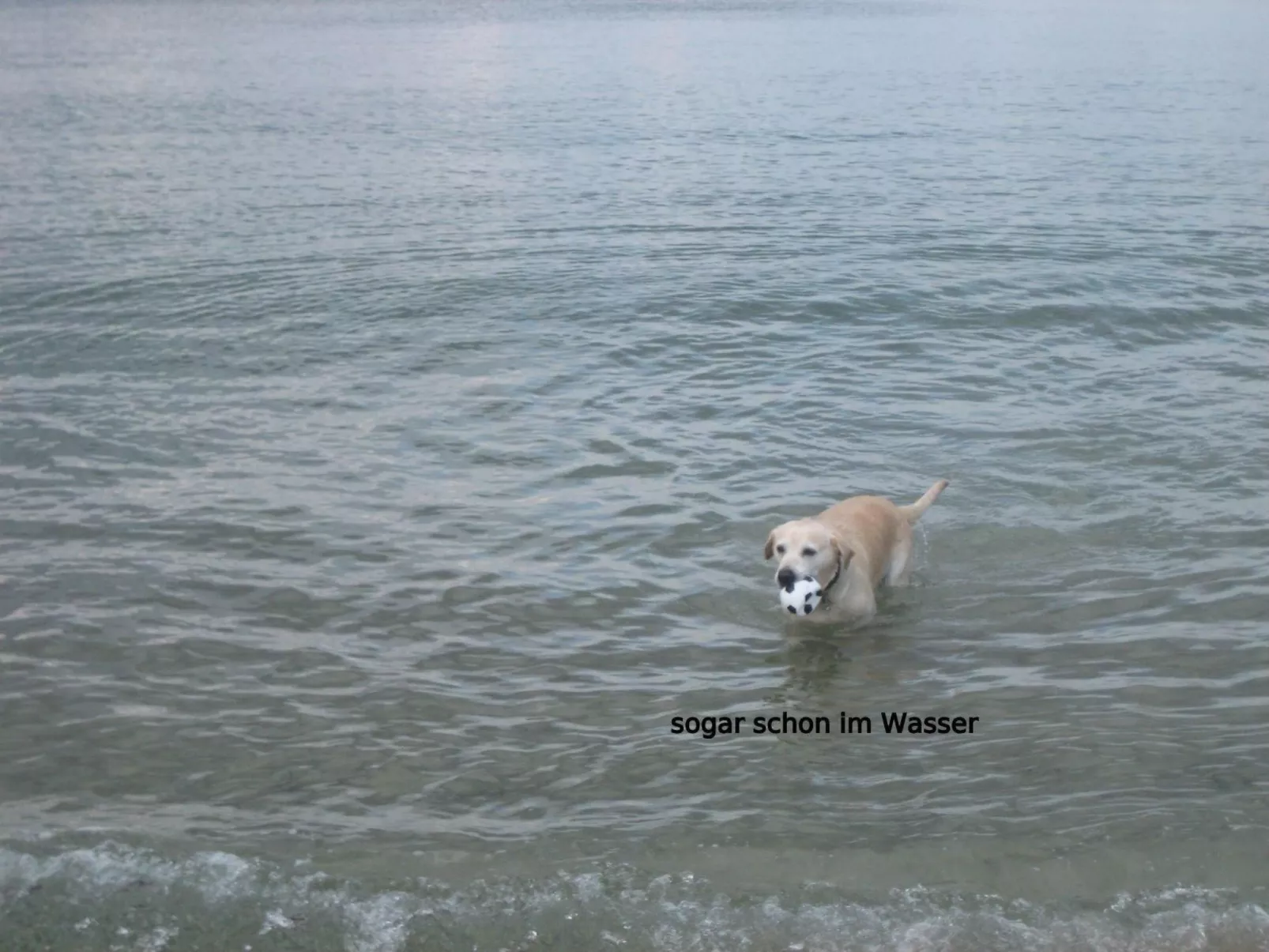 Julchen-Image-tags.info