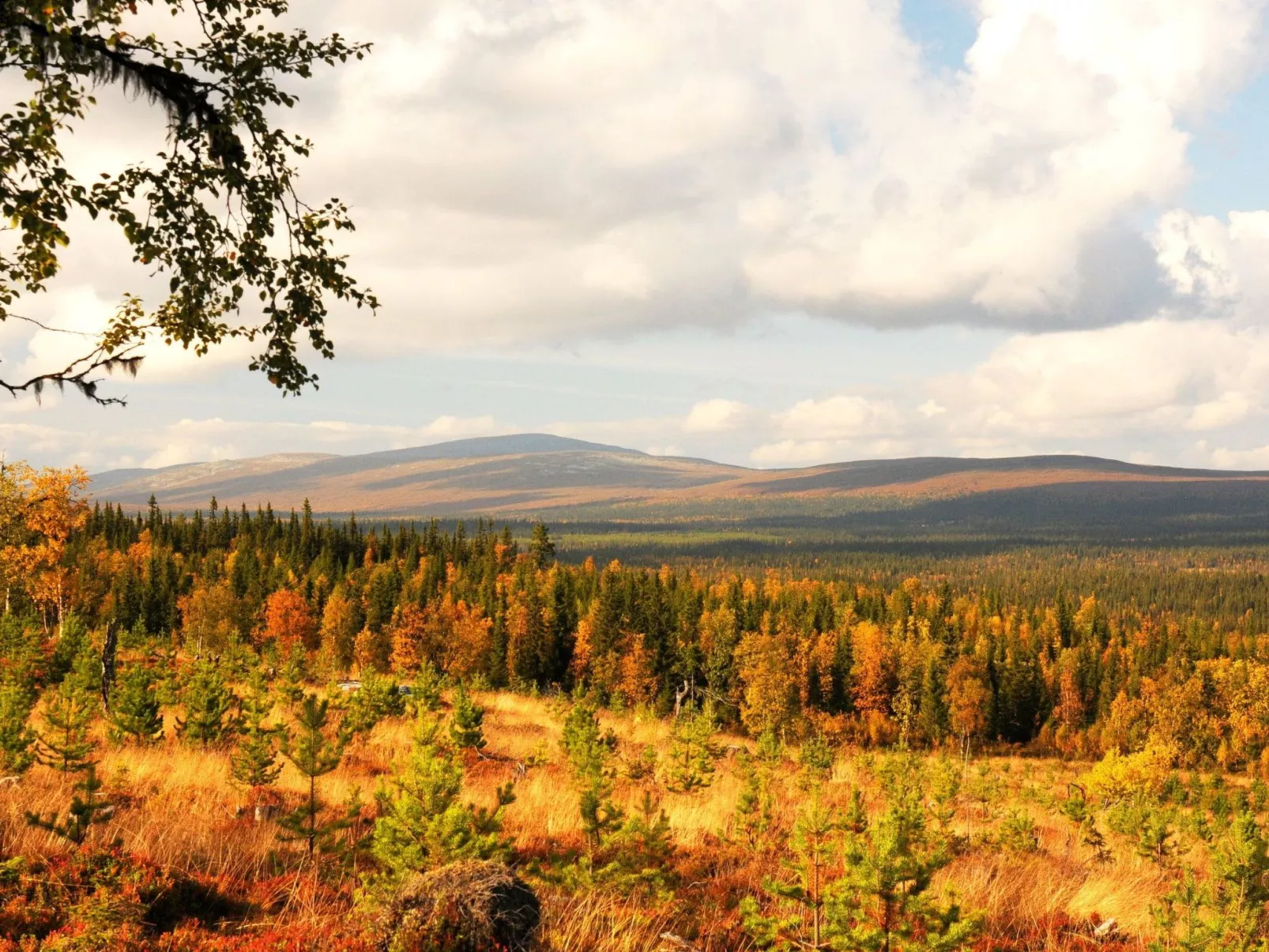 Gemütliches Blockhaus mit Kamin im Oviksfjäll-Buiten