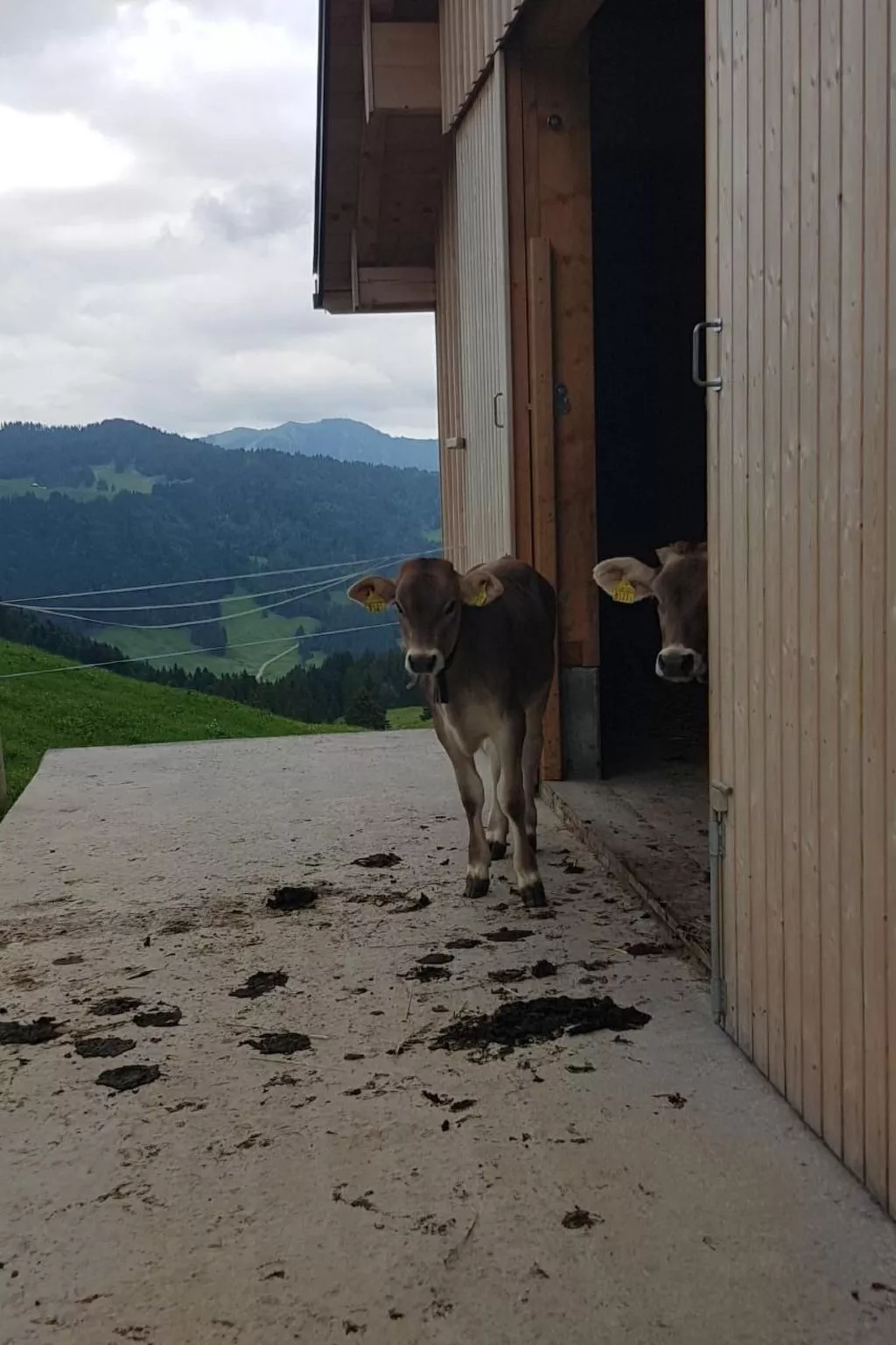 Ferien im Gugger - Wohnung Stockberg-Buiten