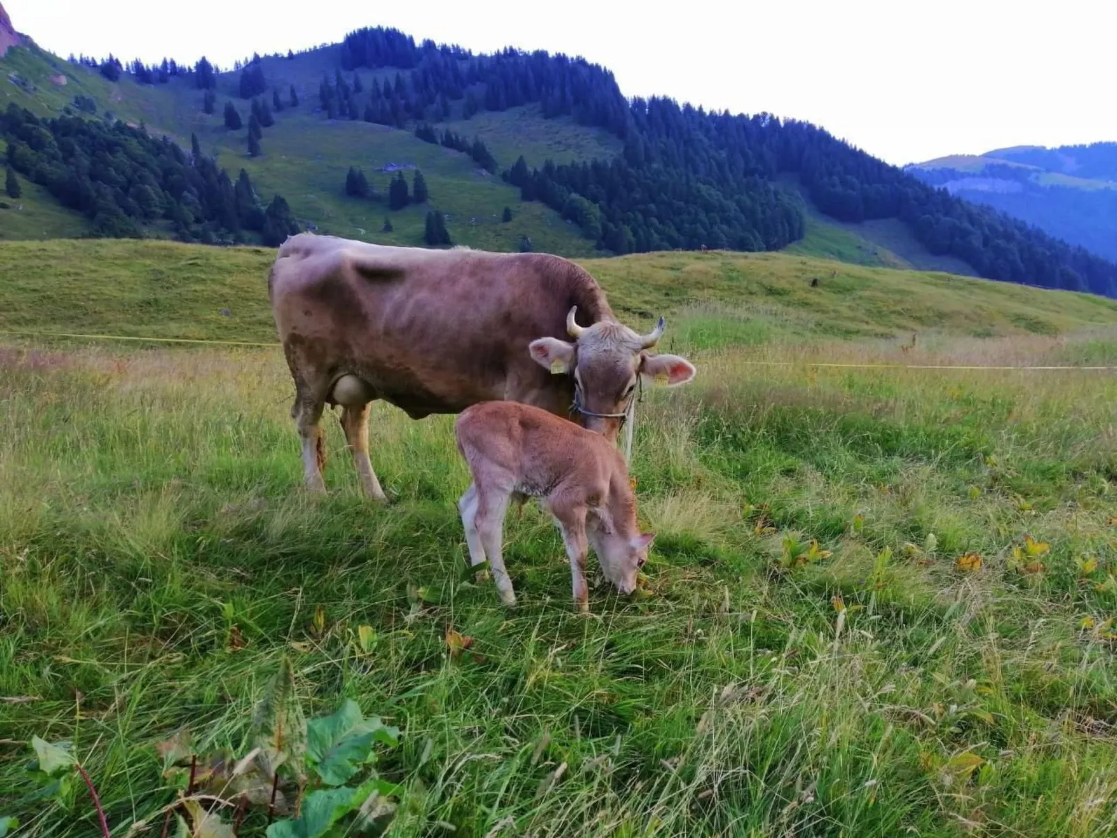 Ferien im Gugger - Wohnung Churfirsten-Buiten