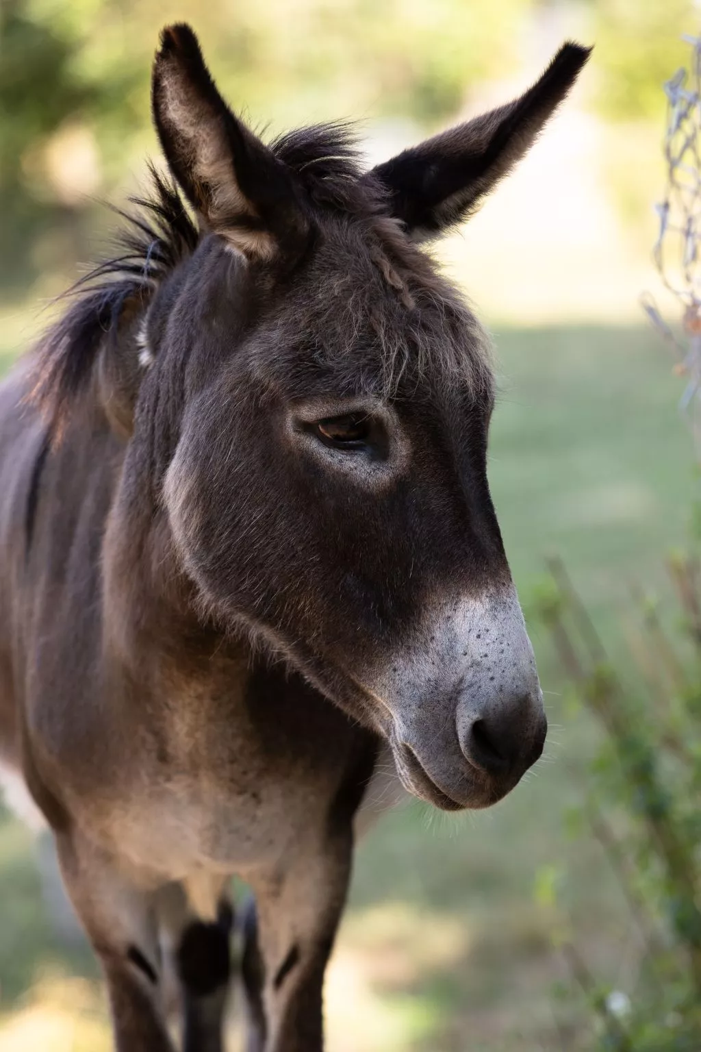 Appartement LouisXVI-Buiten