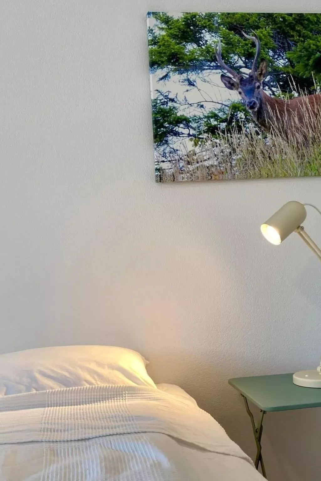 Horizon 5-Image-tags.info