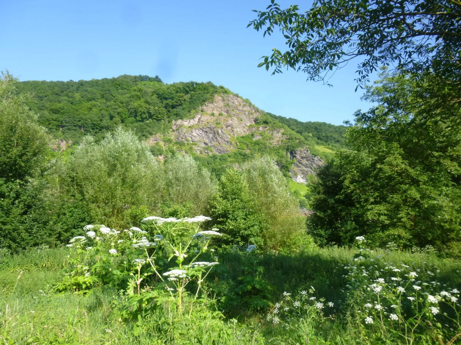 Moselschiefer-Traumferienwohnung am Moselufer-Buiten