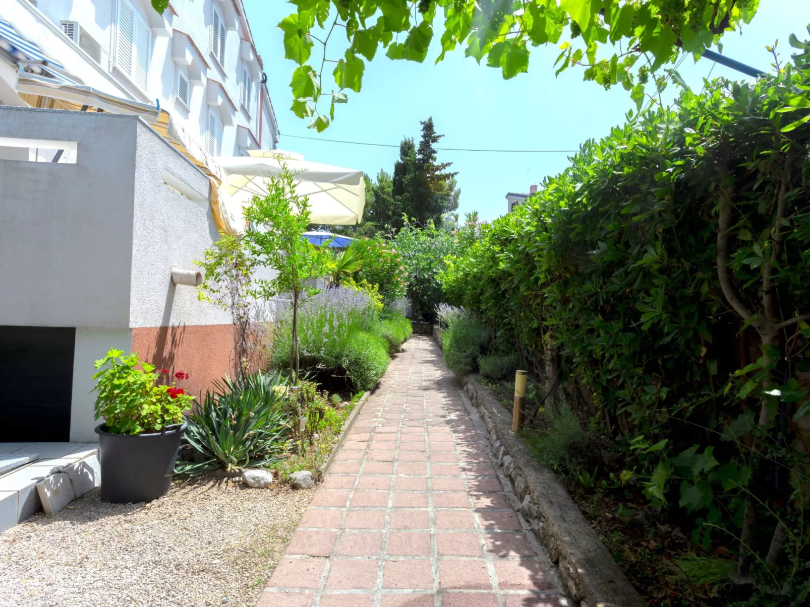 Wohnung "Buka Calim VI"-Buiten