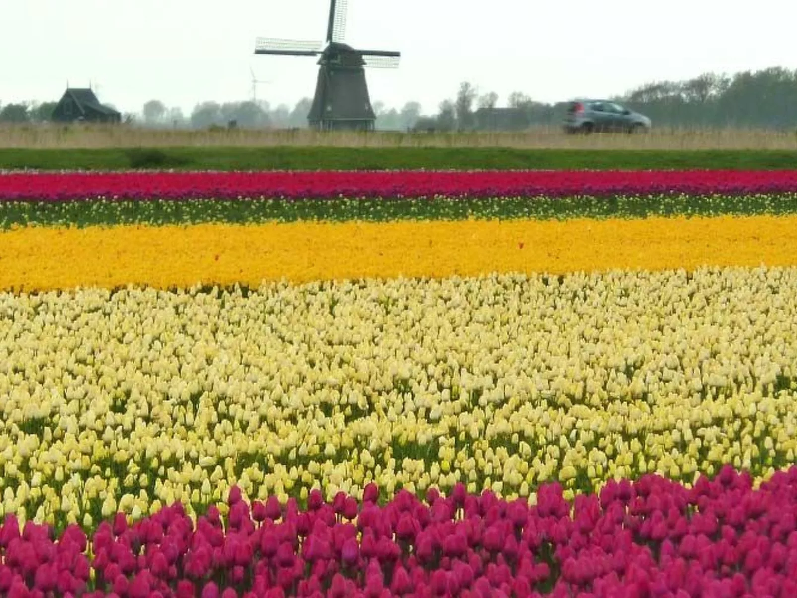 Gemütliches Ferienbungalow mit Garten-Buiten
