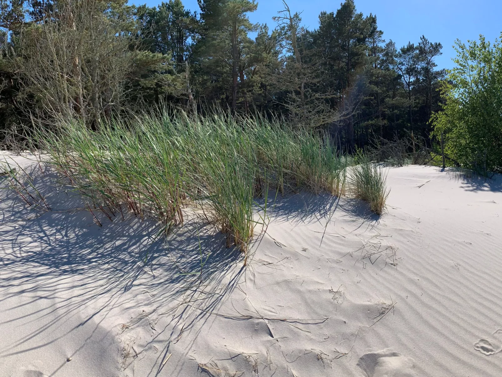 Ferien an der Ostsee-Image-tags.info