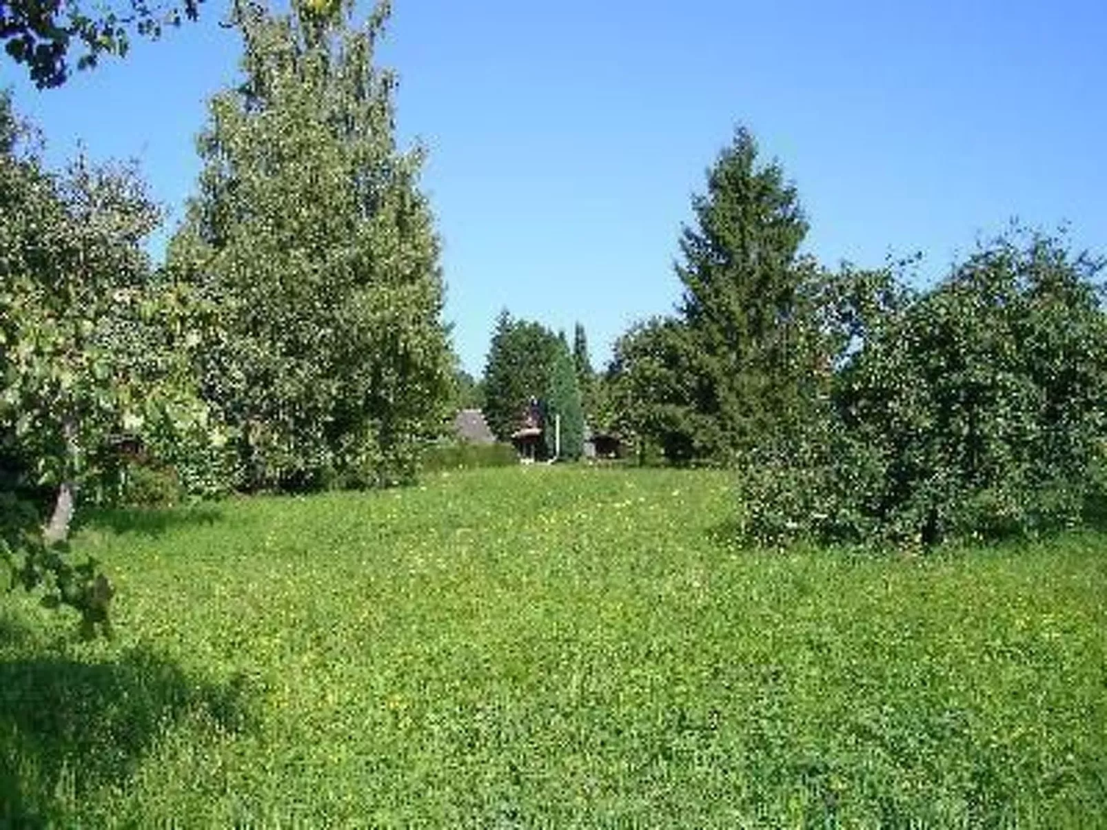 Nur-Dach-Ferienhaus für vier Personen - Buiten
